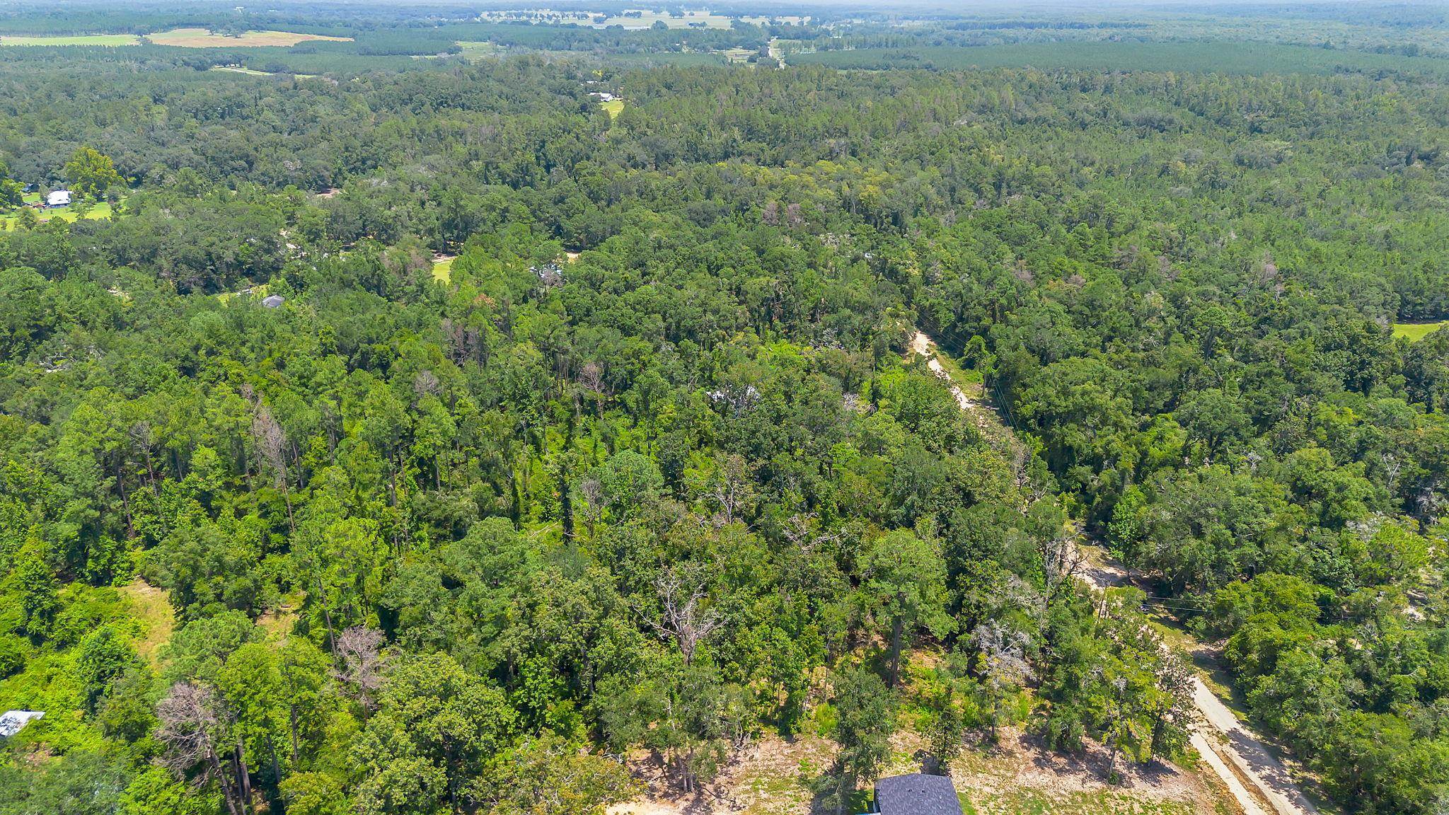 0 N Forest Court