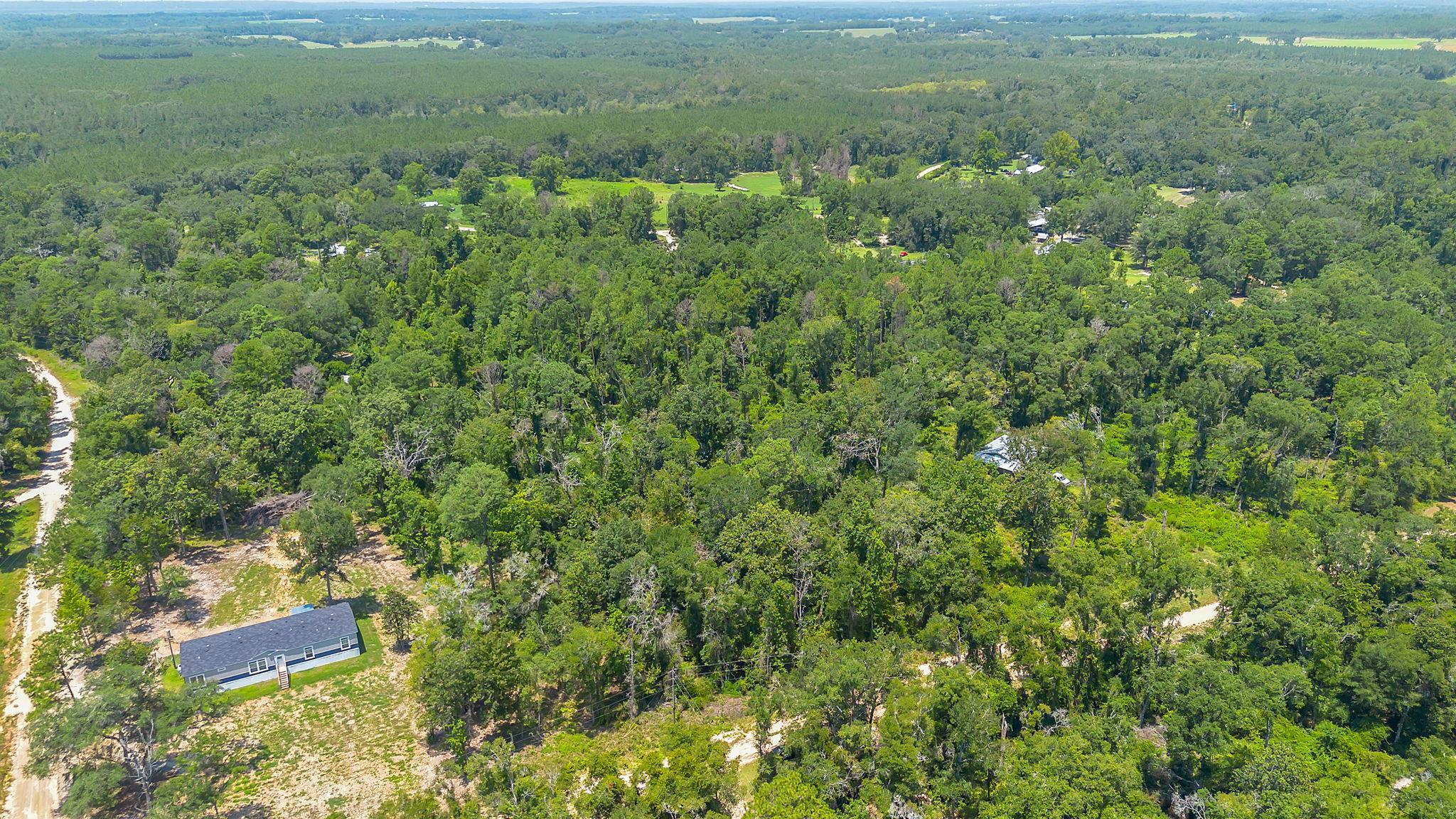 0 N Forest Court