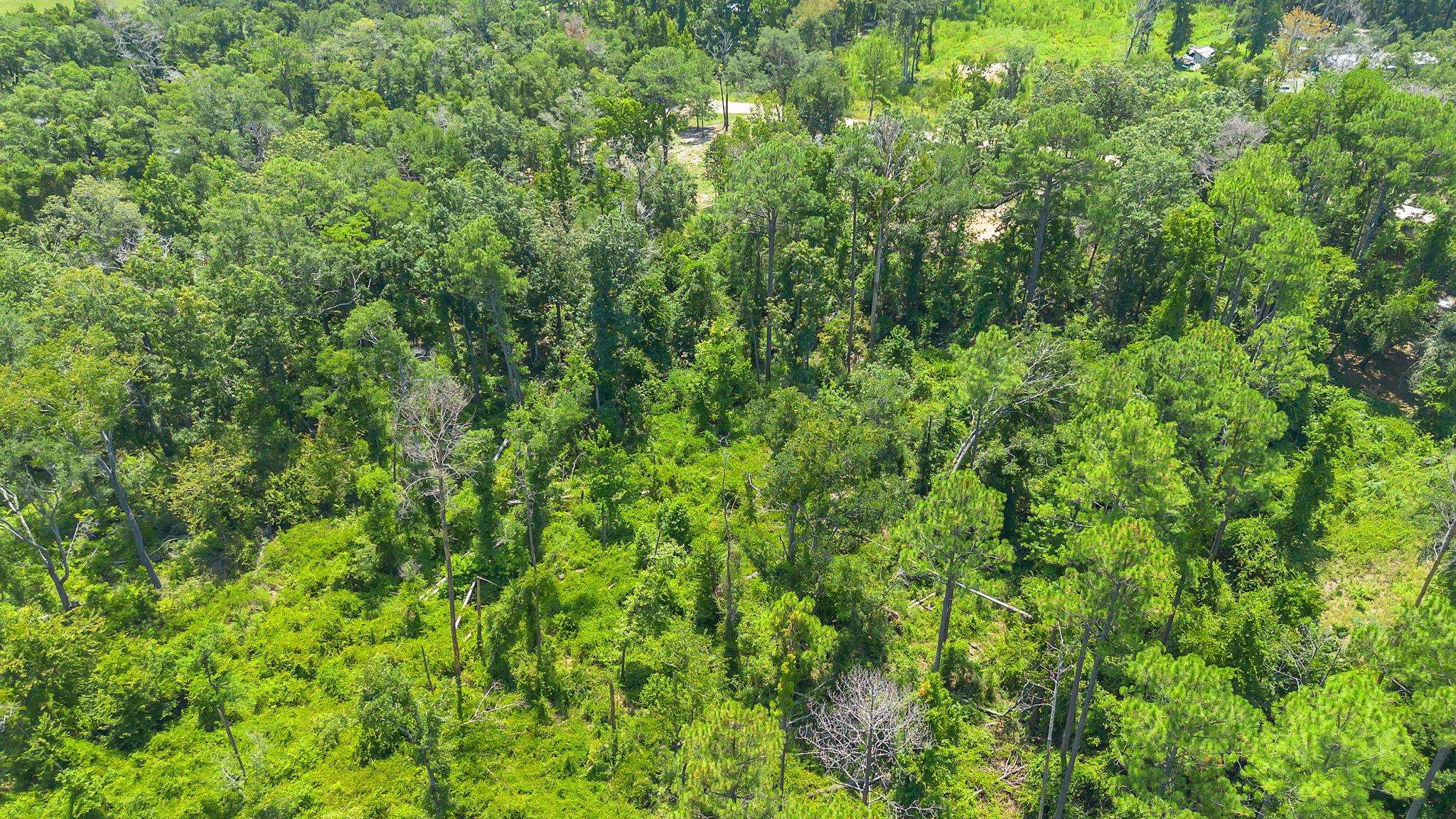 0 N Forest Court
