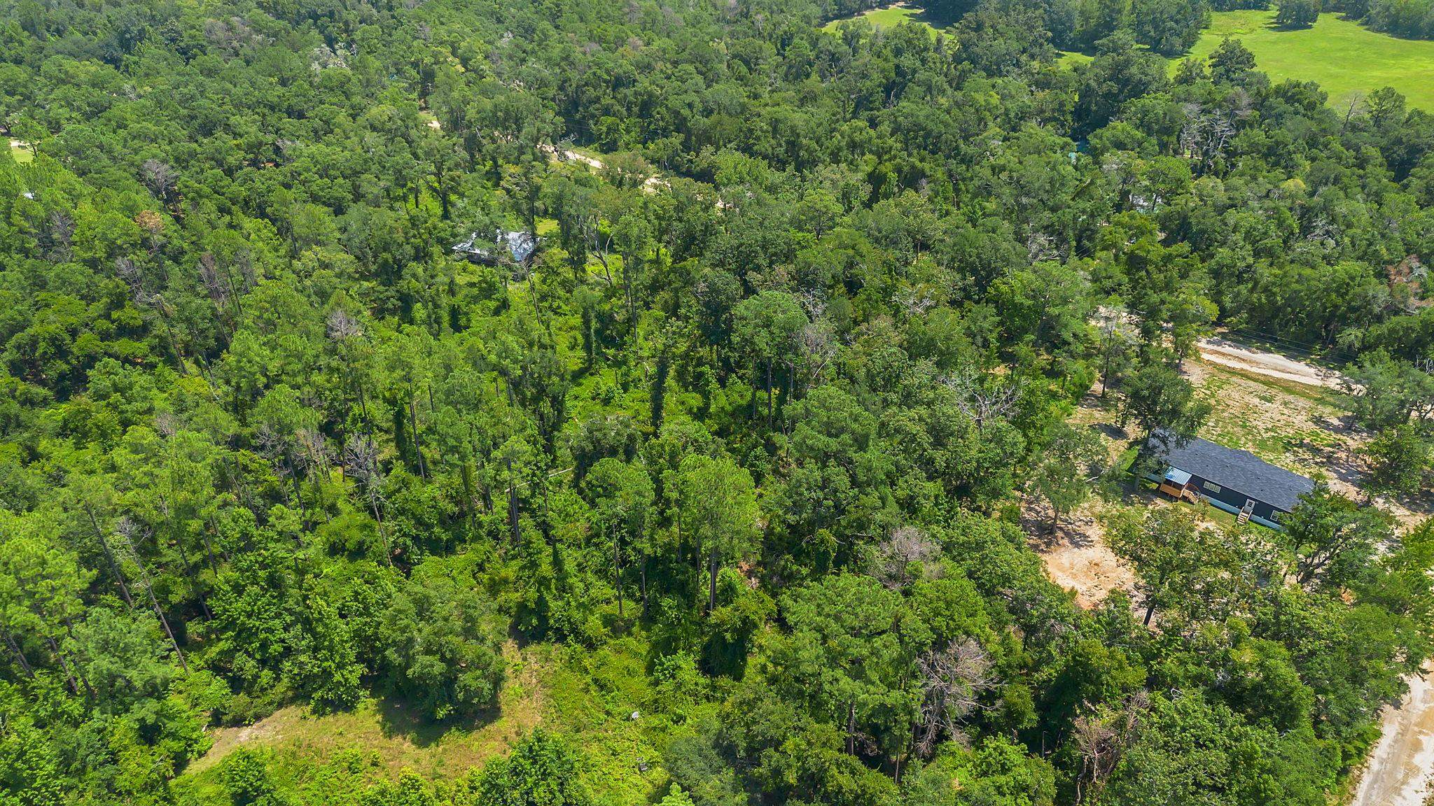 0 N Forest Court