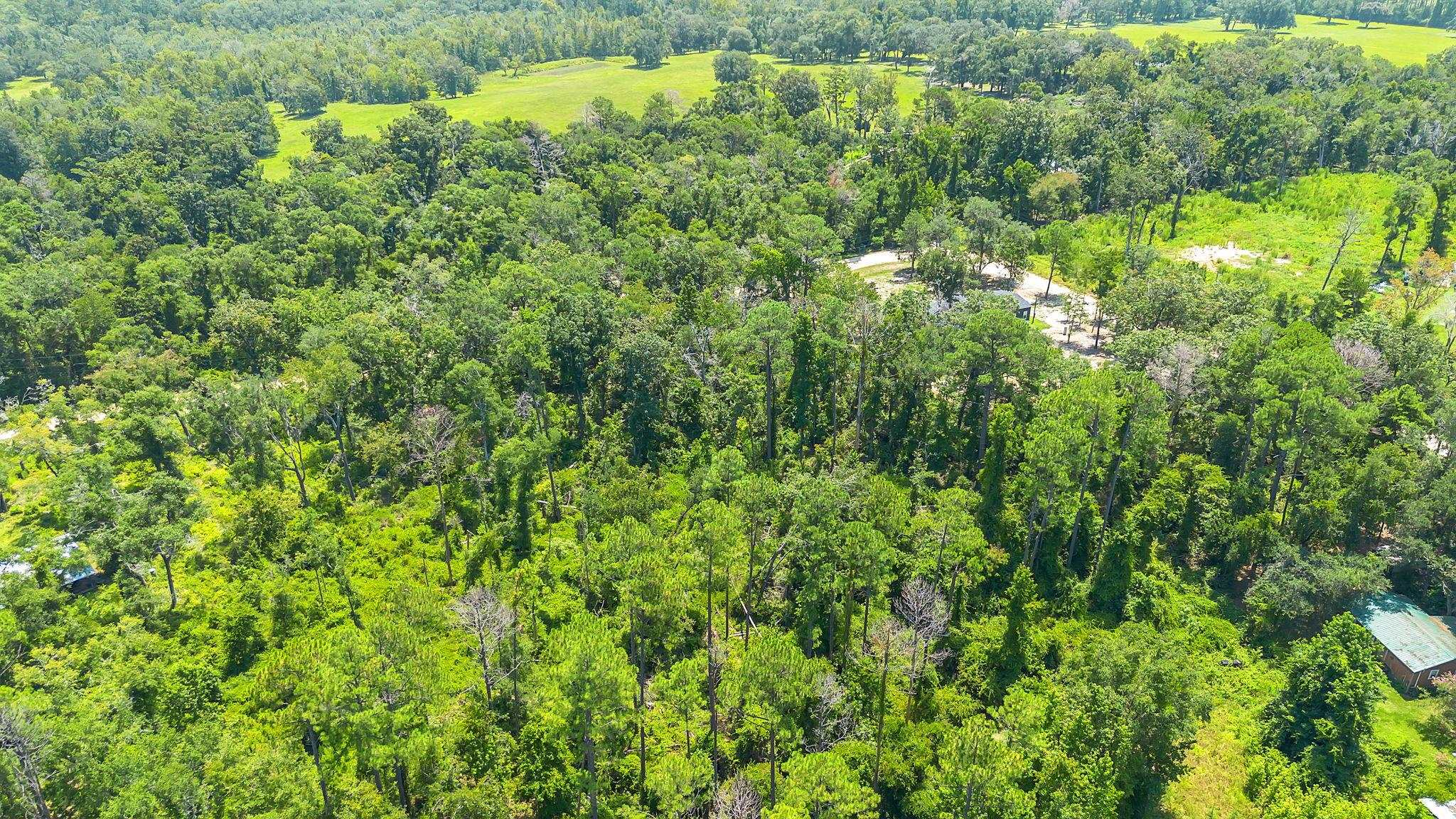 0 N Forest Court
