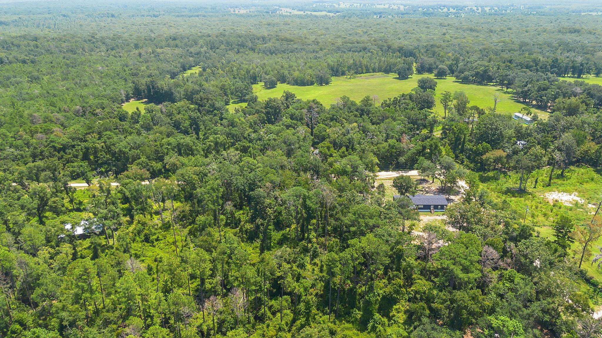 0 N Forest Court