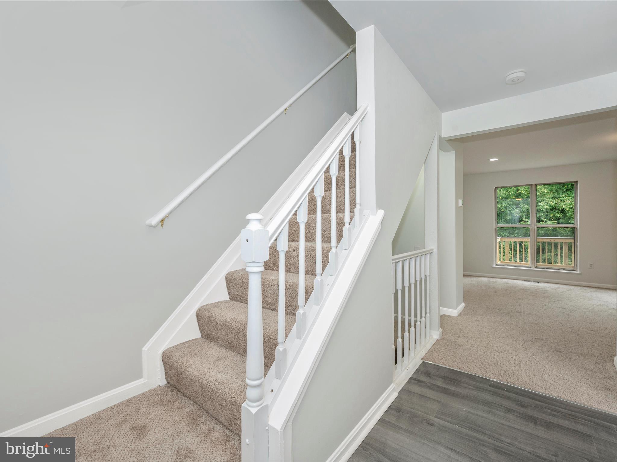 1853 DULANEY COURT