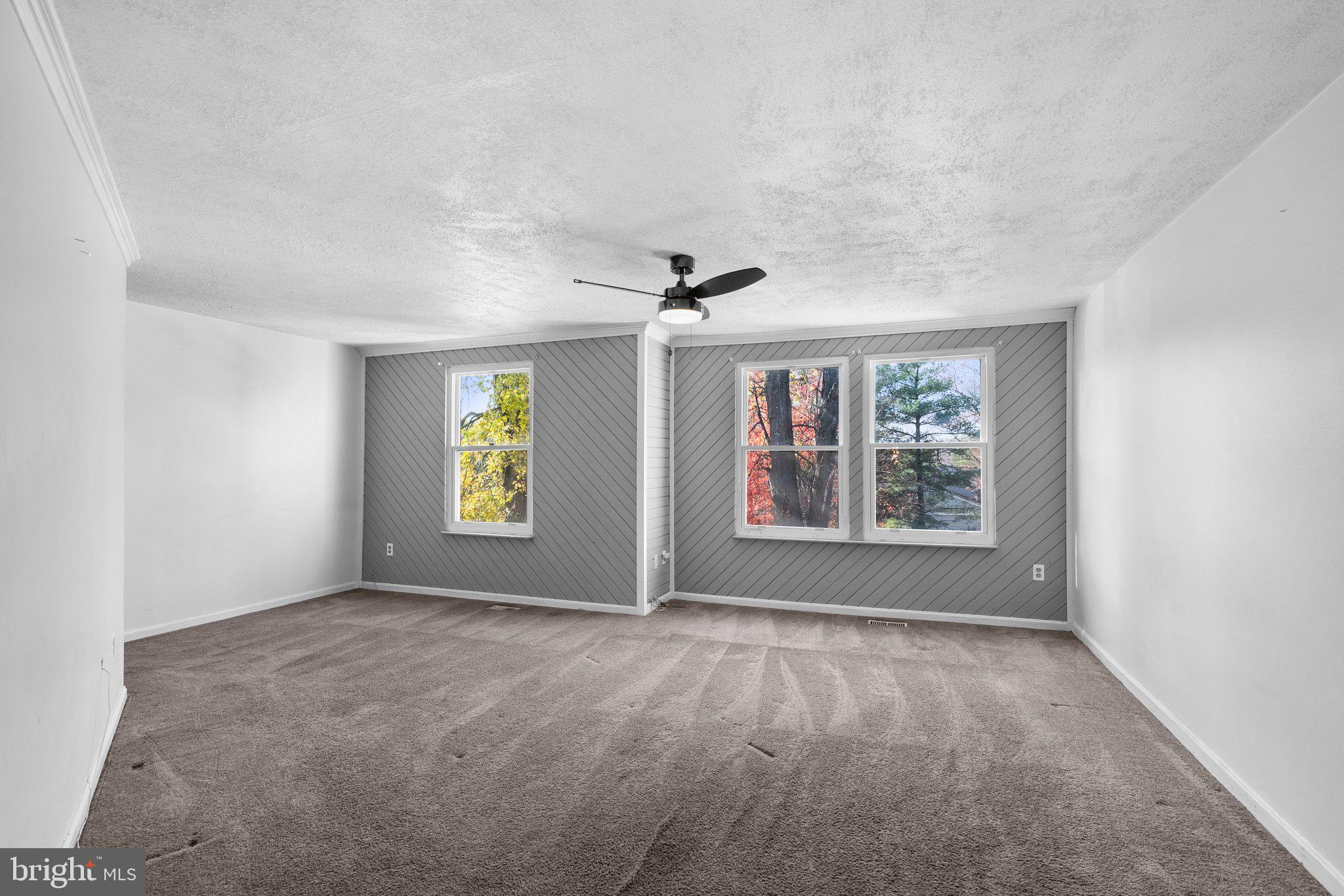 13609 DEMETRIAS WAY
