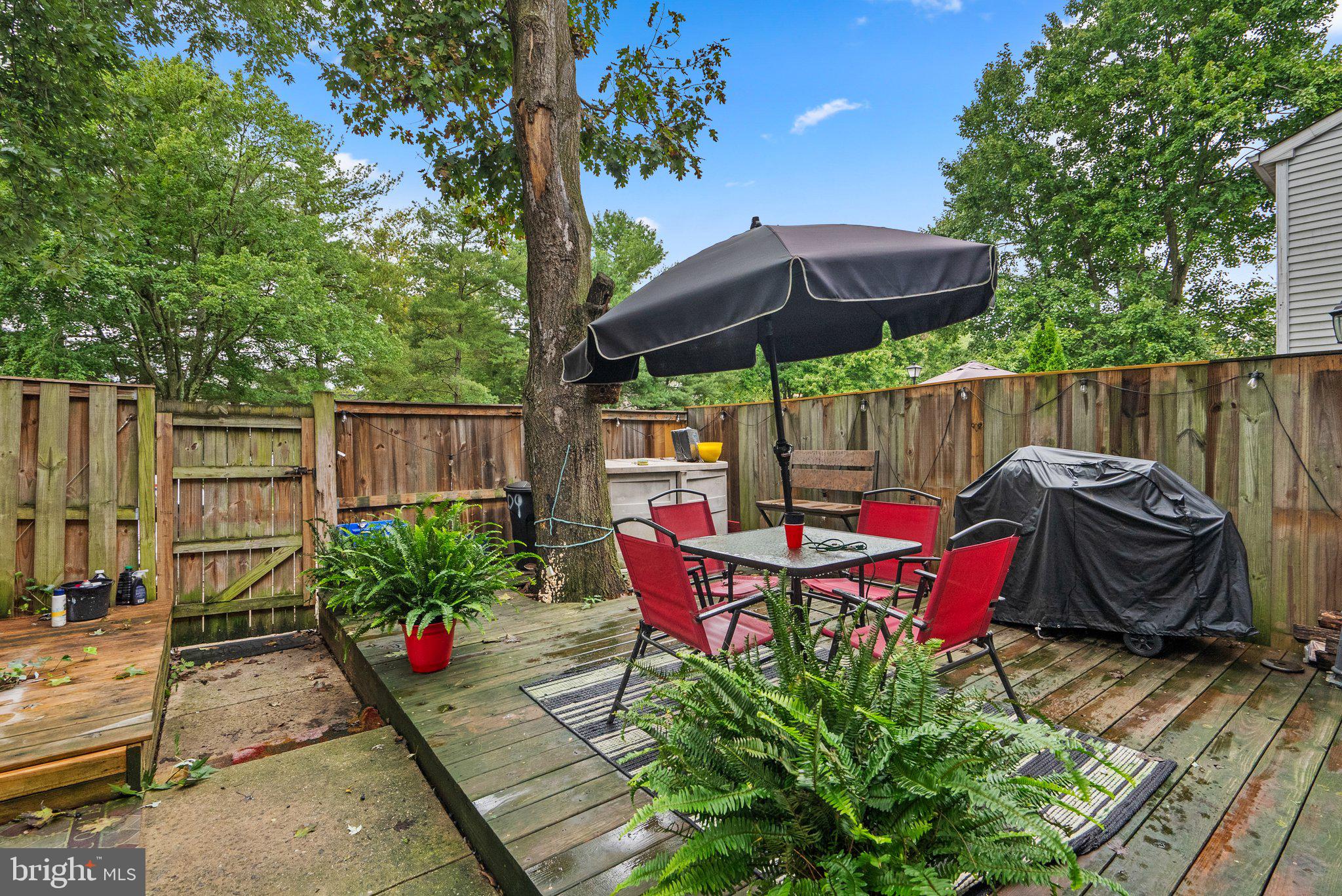 13609 DEMETRIAS WAY