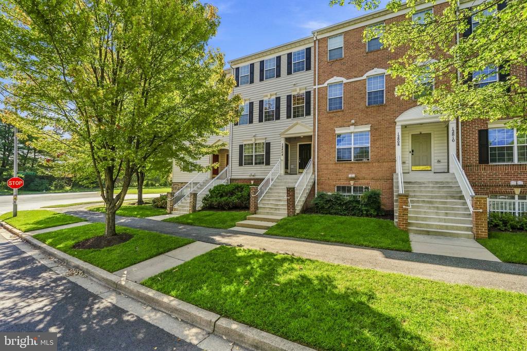 Attached townhomes with brick and light siding, raised entrances, and a leafy street tree.