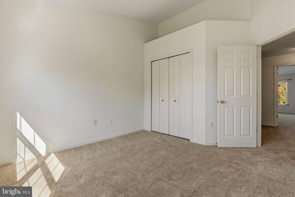 Empty carpeted bedroom with a double closet and sunlight falling across the floor.