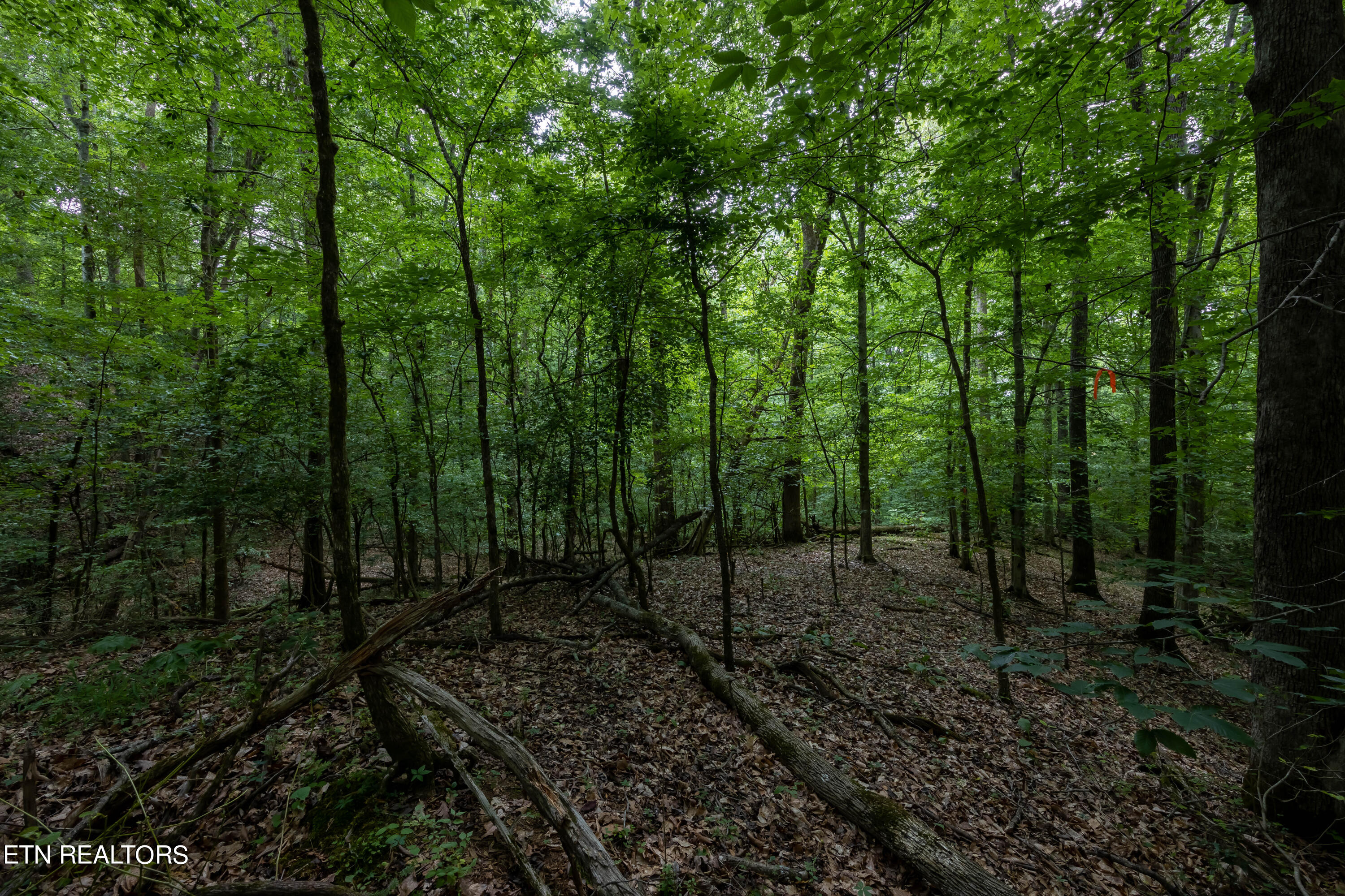 2509 Woodland Reserve Lane