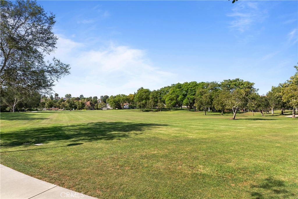 25652 Rimgate Drive 2D