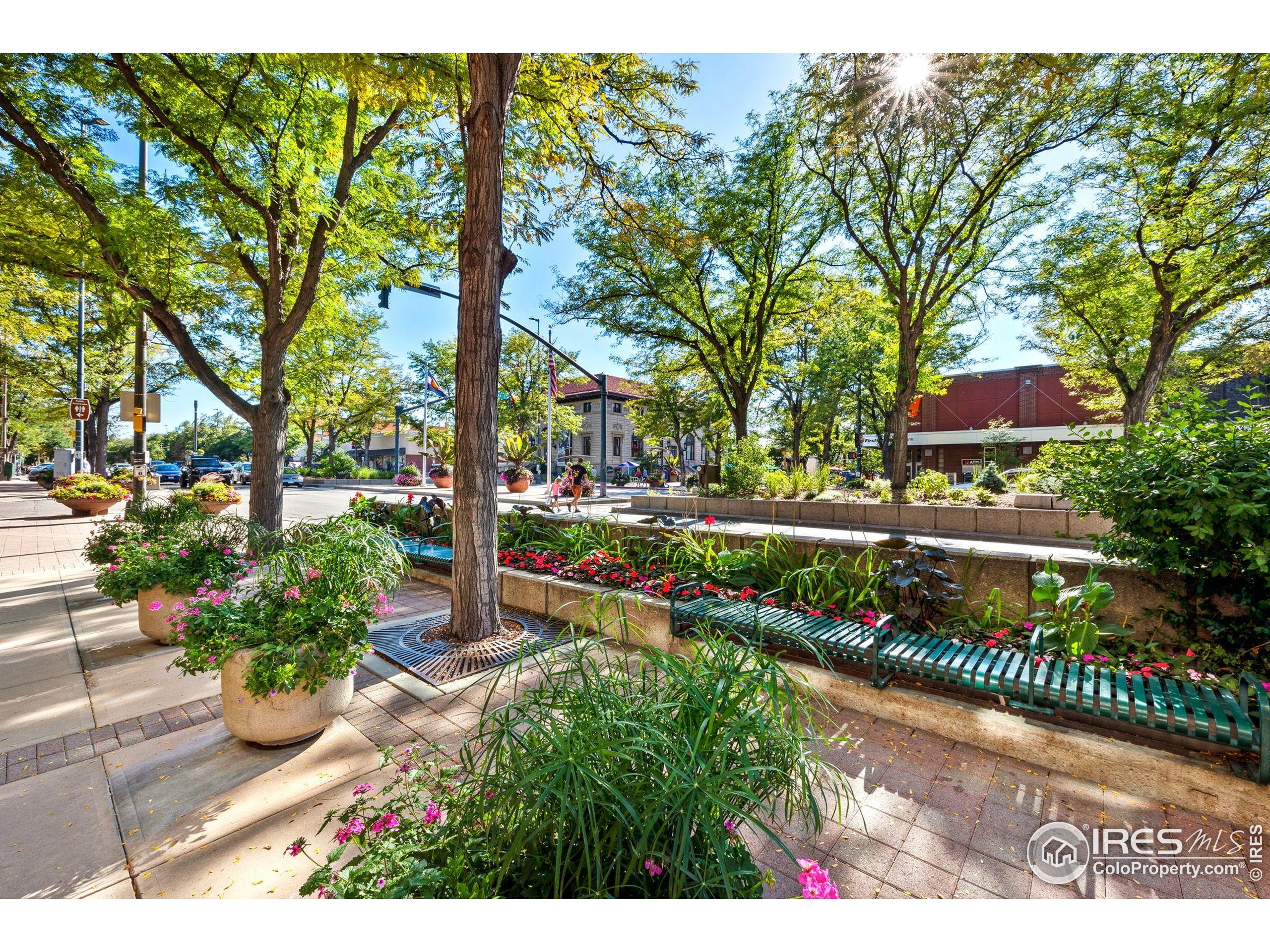 2832 William Neal Pkwy C