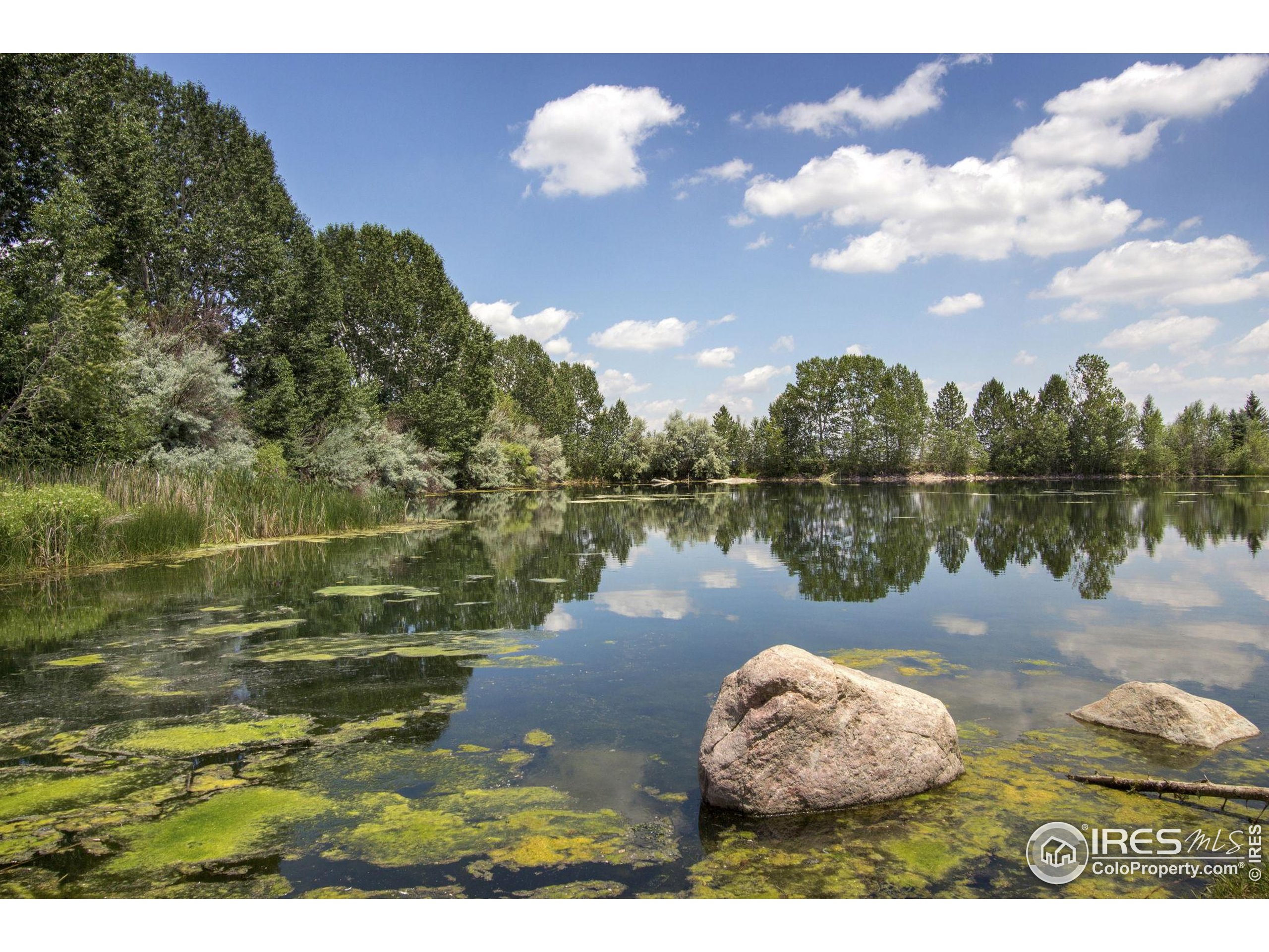 2832 William Neal Pkwy C