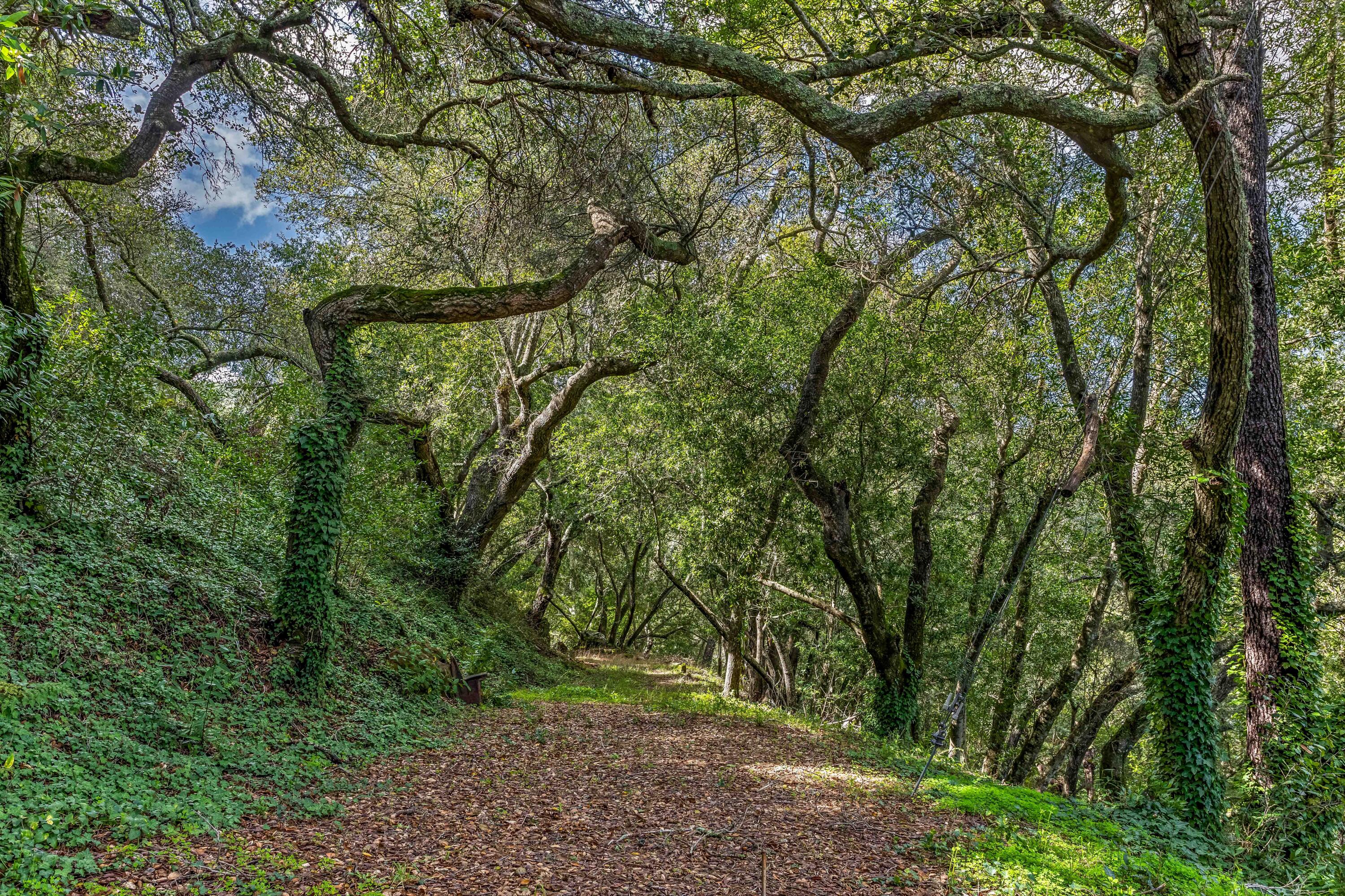 6454 Stagecoach Road