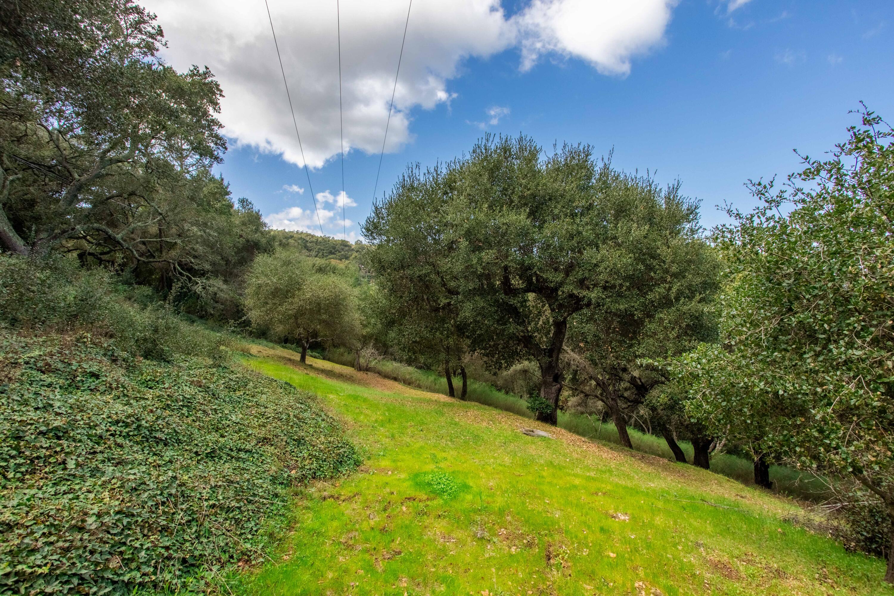 6454 Stagecoach Road