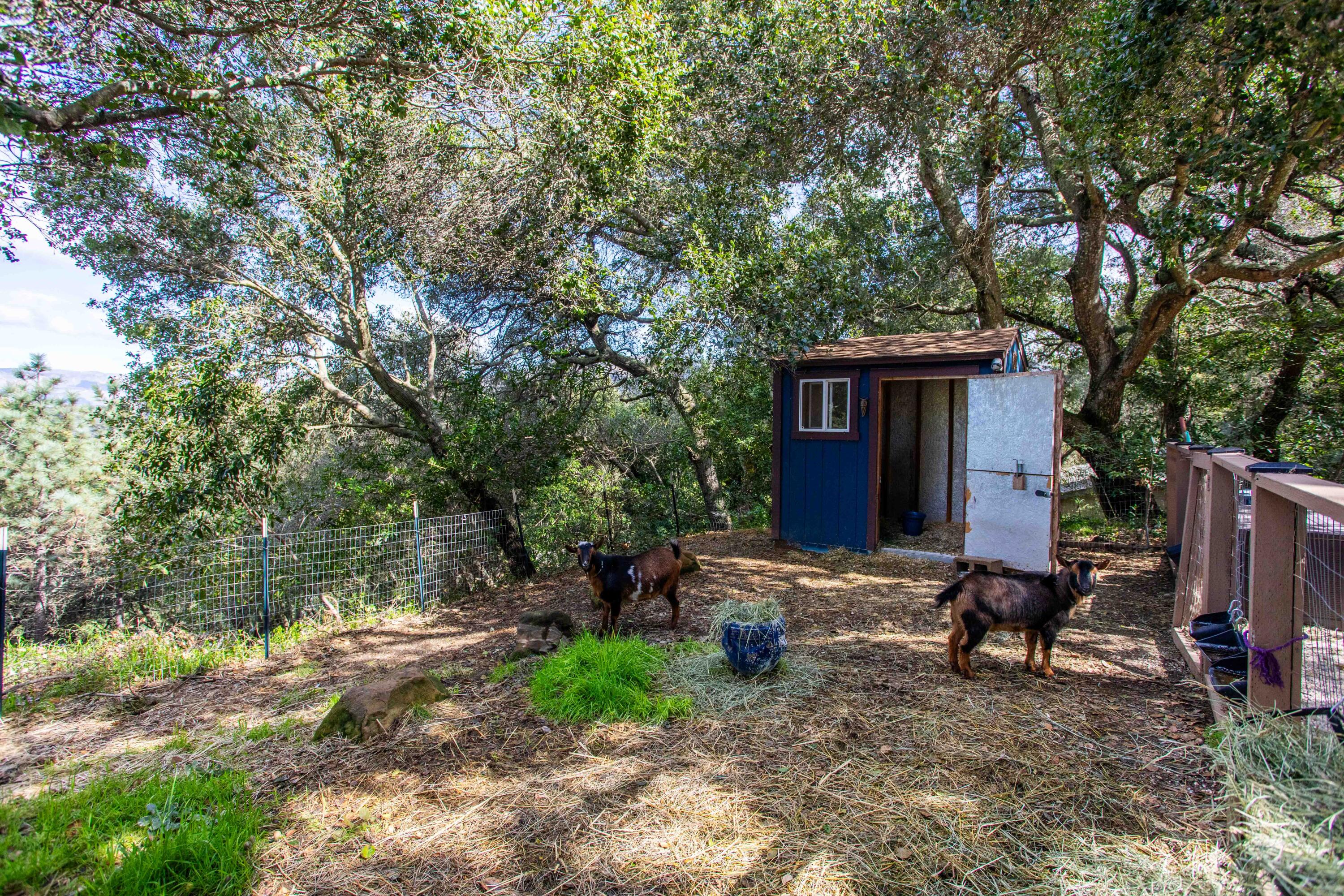 6454 Stagecoach Road