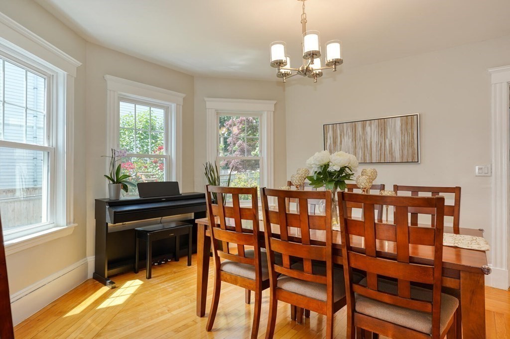 7 Vincent Avenue