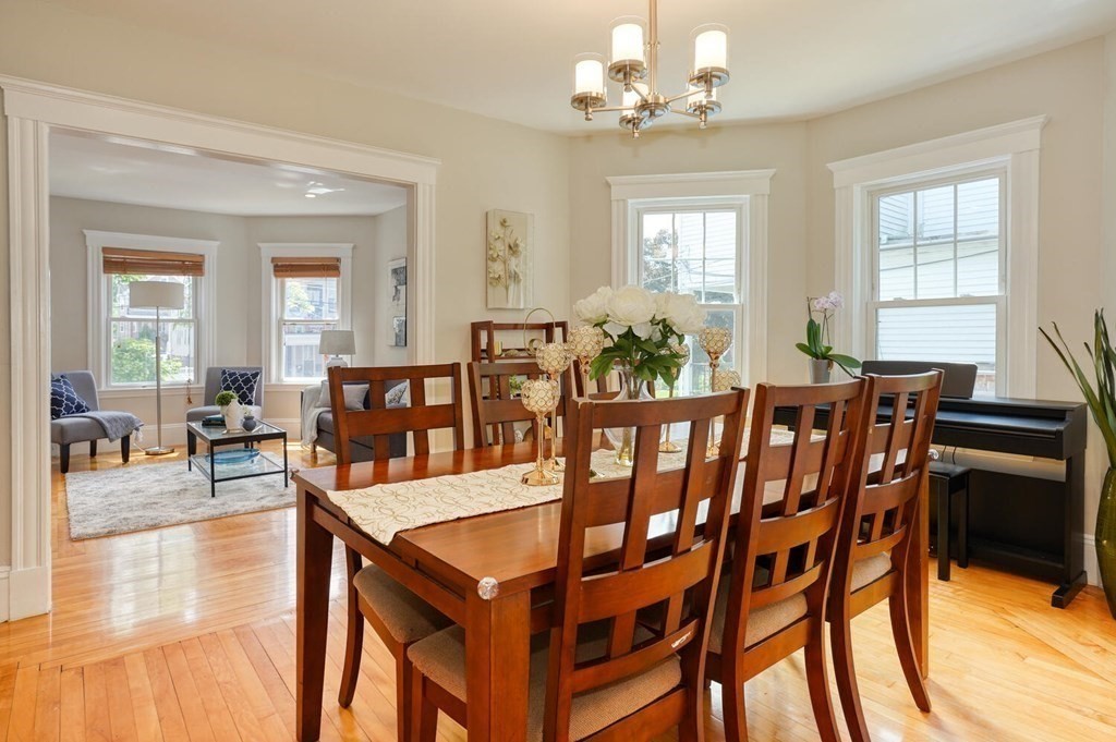 7 Vincent Avenue