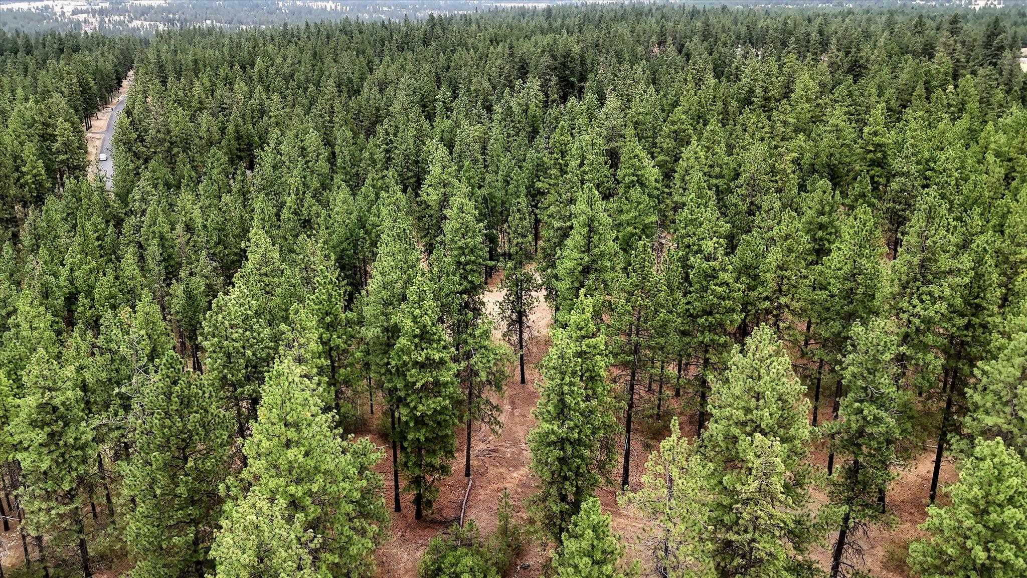 18505 W Buckboard Rd