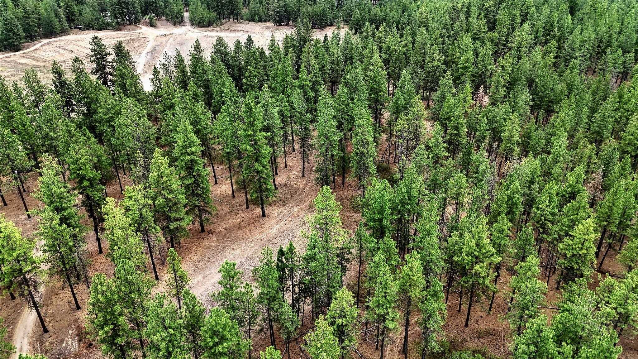 18505 W Buckboard Rd