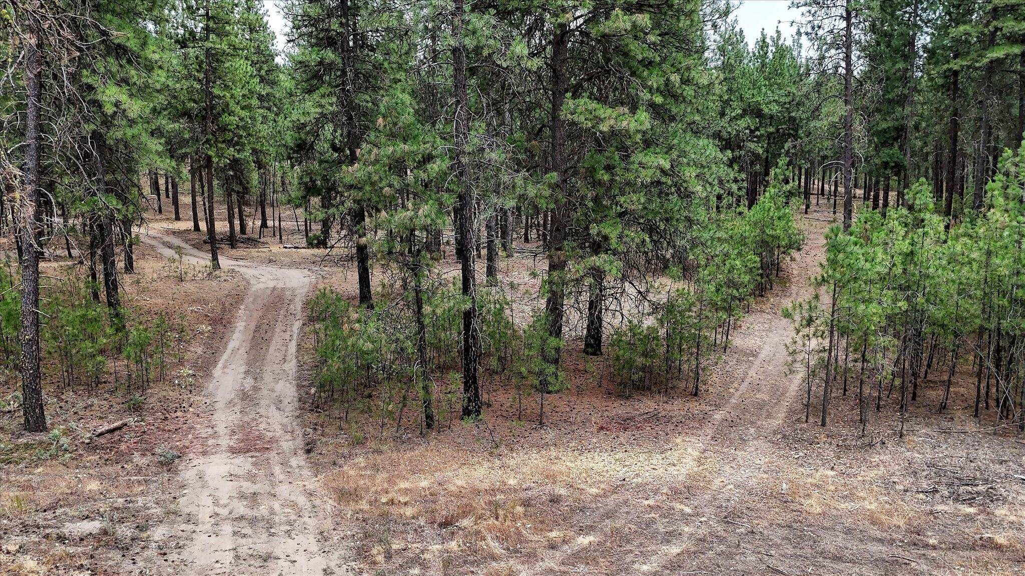 18505 W Buckboard Rd