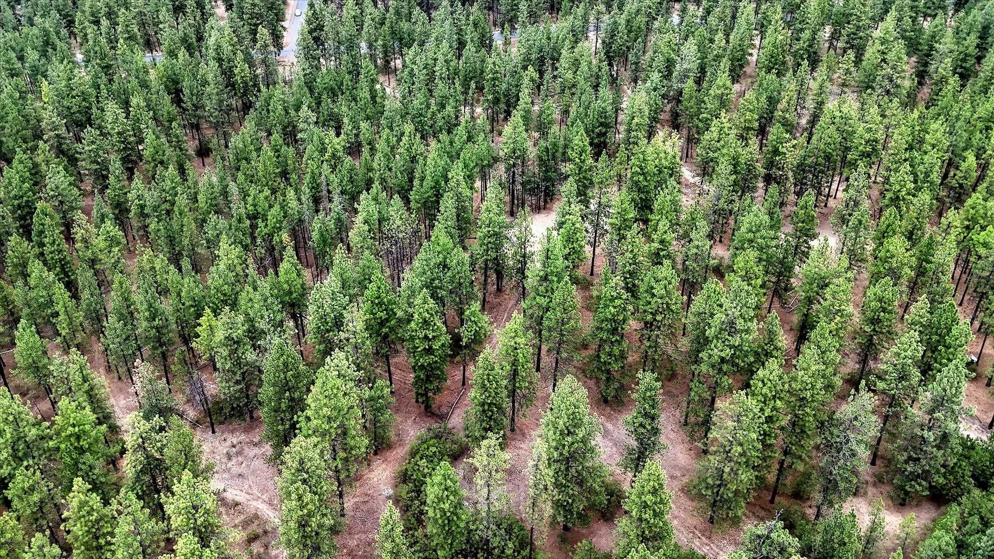 18505 W Buckboard Rd