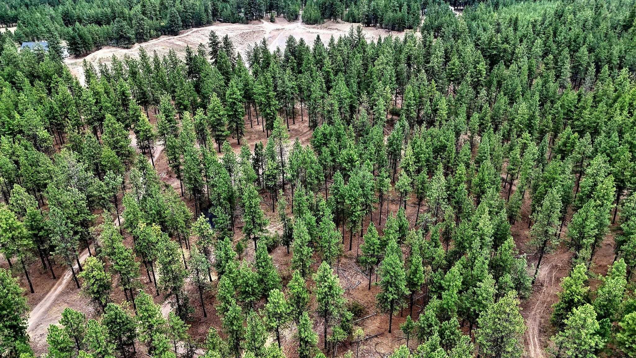 18505 W Buckboard Rd