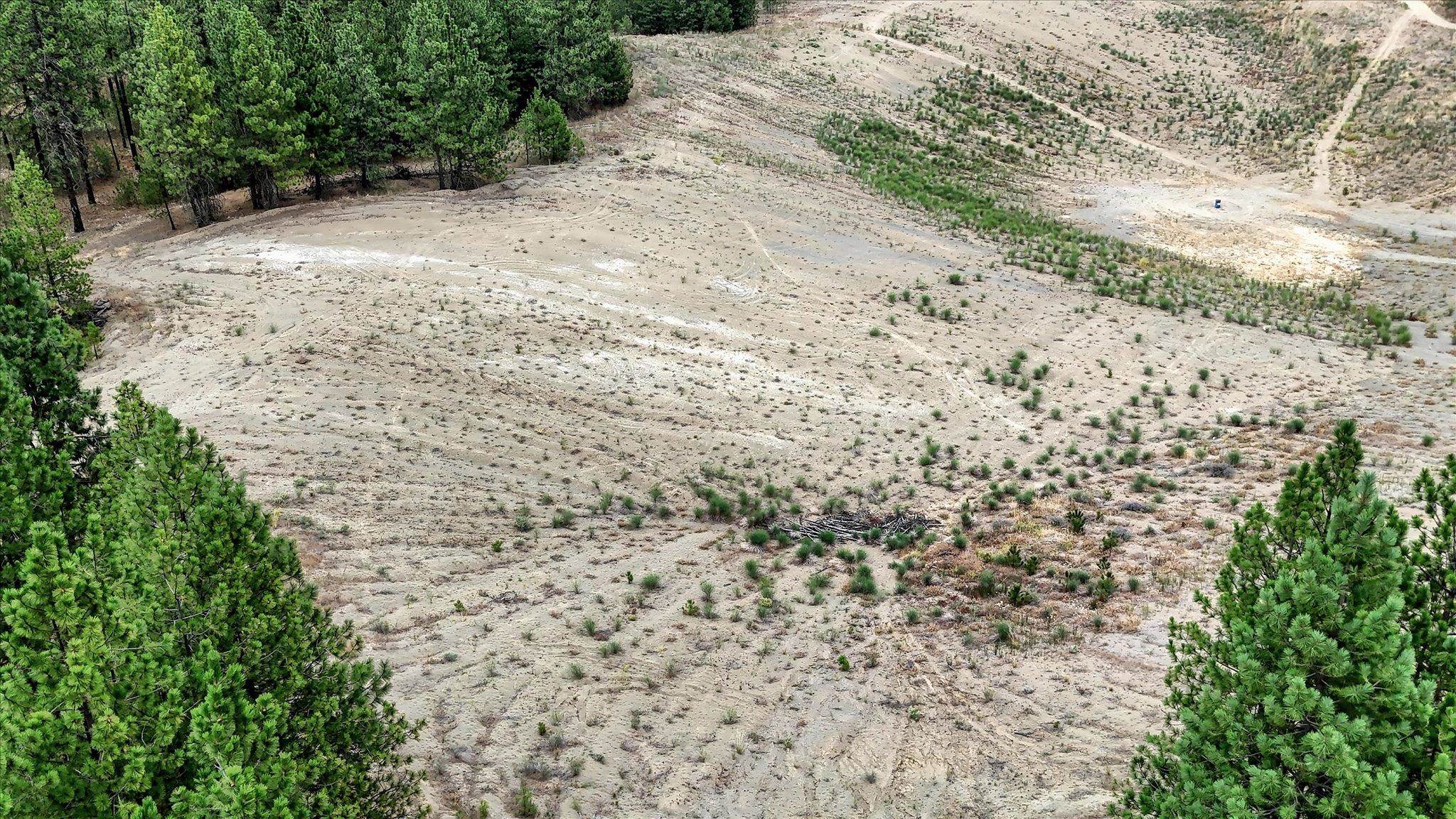 18505 W Buckboard Rd