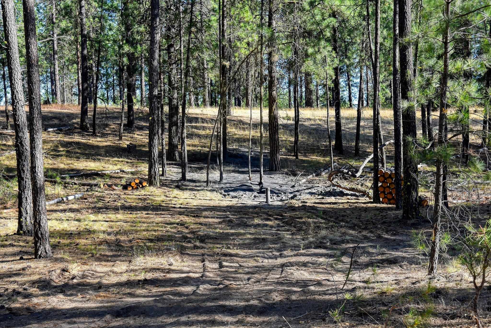 18505 W Buckboard Rd