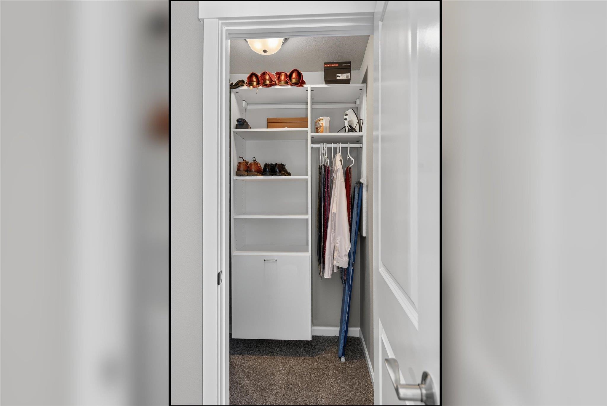 Walk-in closet with white shelving, hanging clothes, shoes, and carpeted floor.