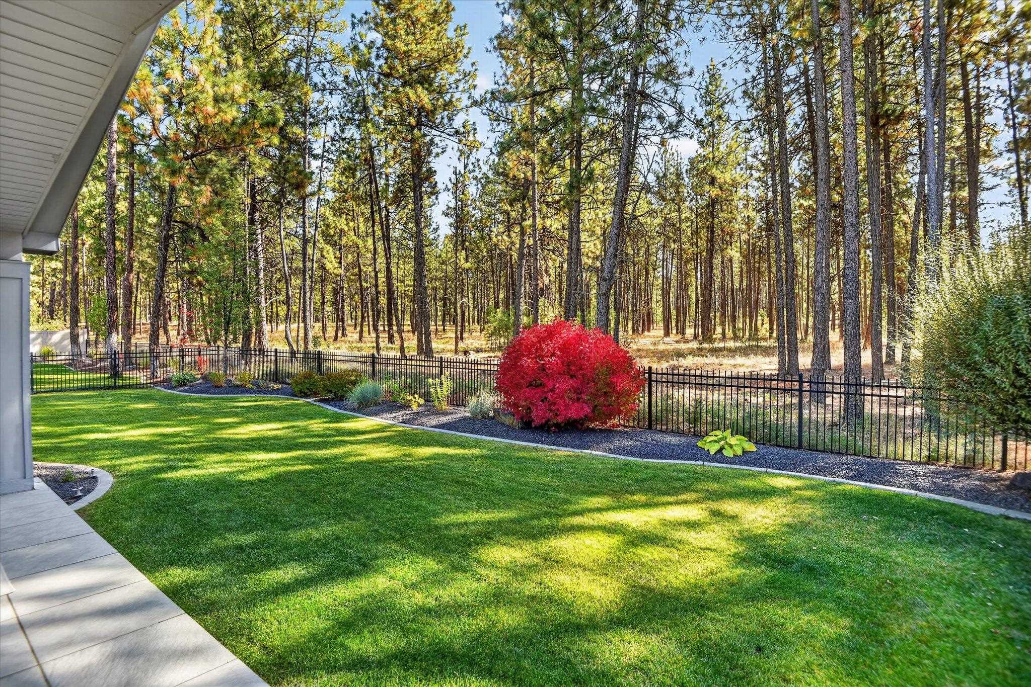 Backyard lawn and patio bordered by a black fence, red shrub, and pine woods.