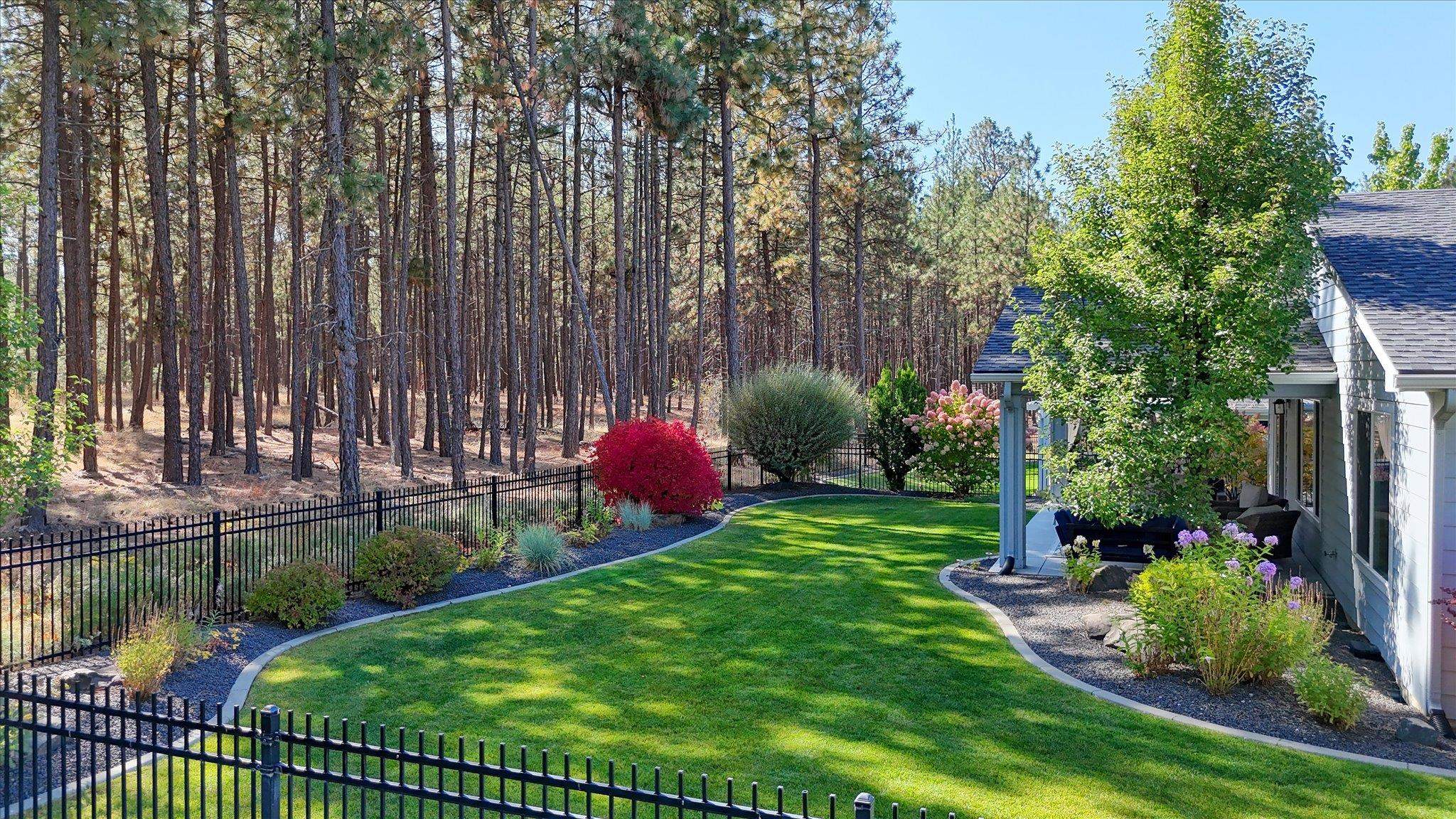 Landscaped backyard with a curved lawn, pine forest, black fencing, and covered patio seating.