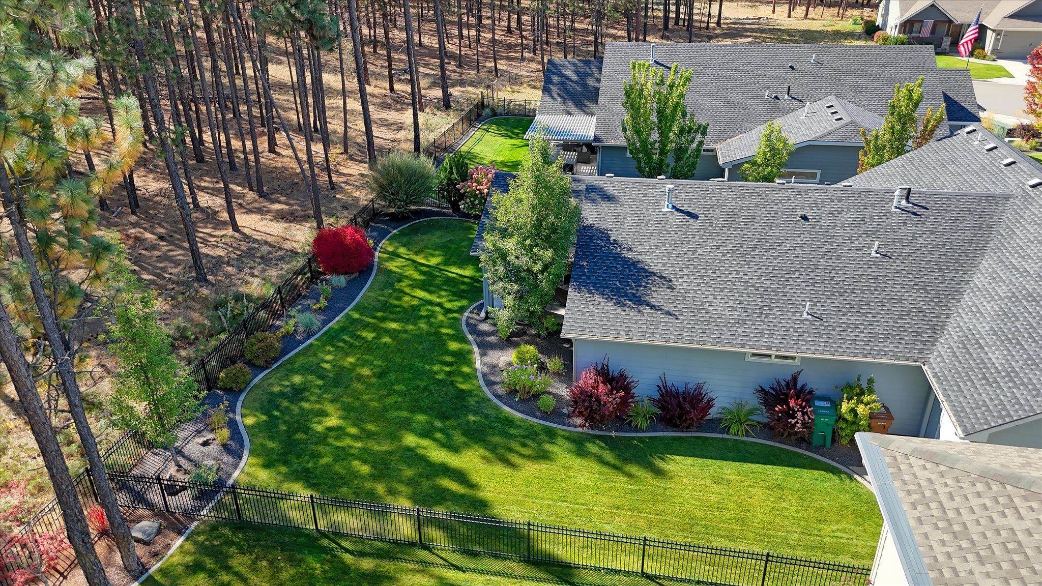 Aerial view of a fenced backyard with a curved lawn bordering a pine woodland.