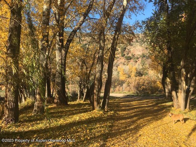 114 N Bill Creek Road