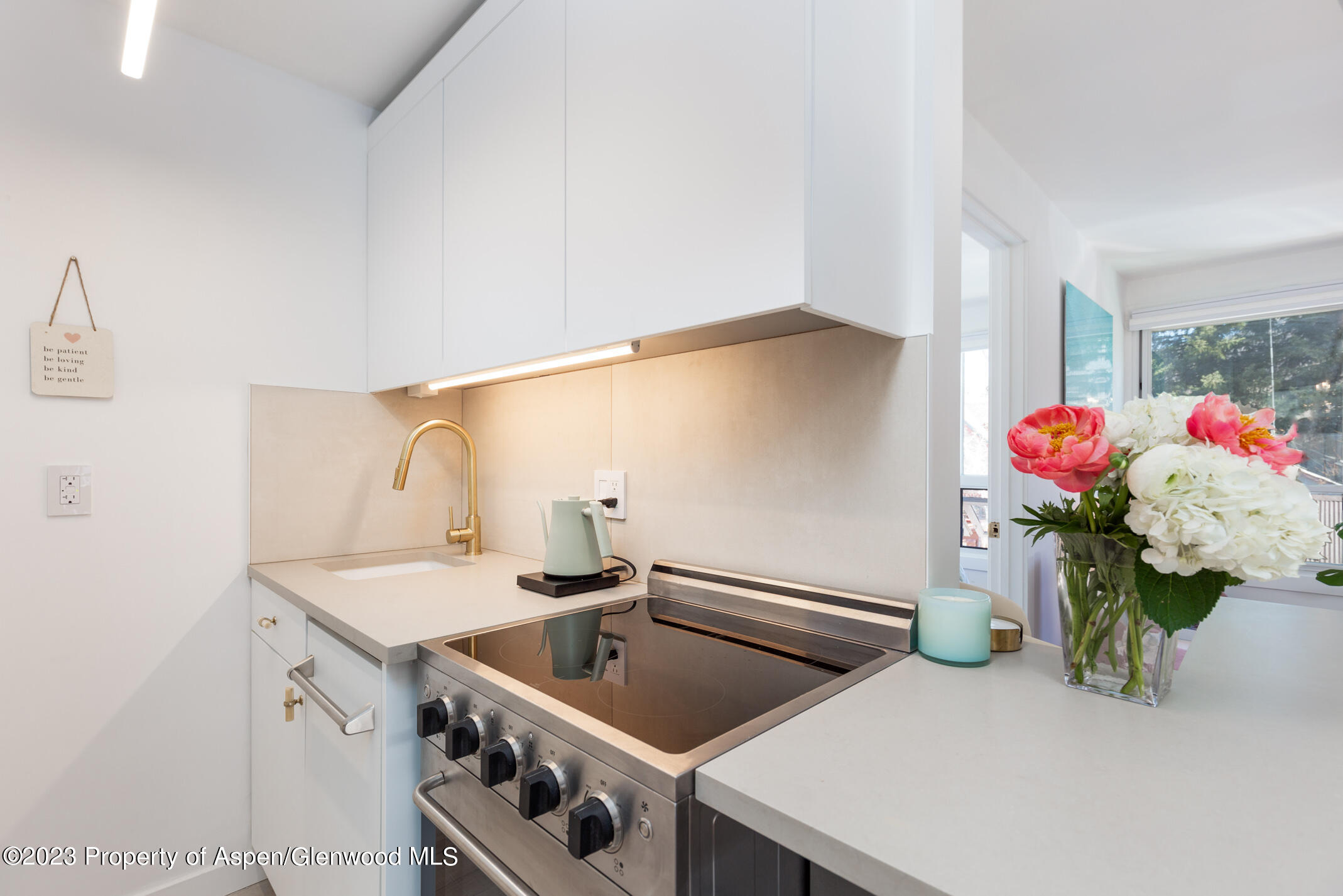 700 W Hopkins Avenue, 13