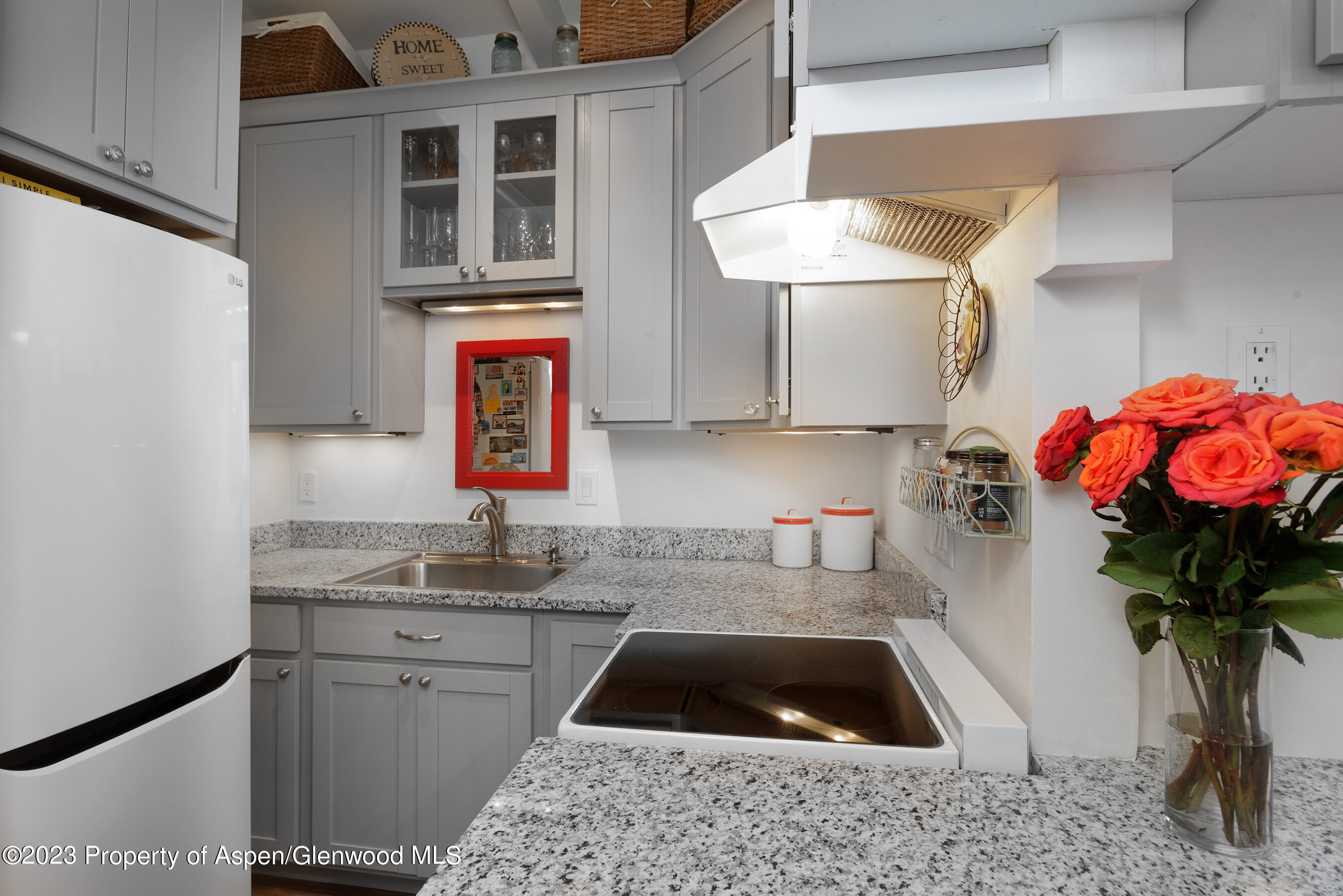 710 W Hopkins Avenue, 15