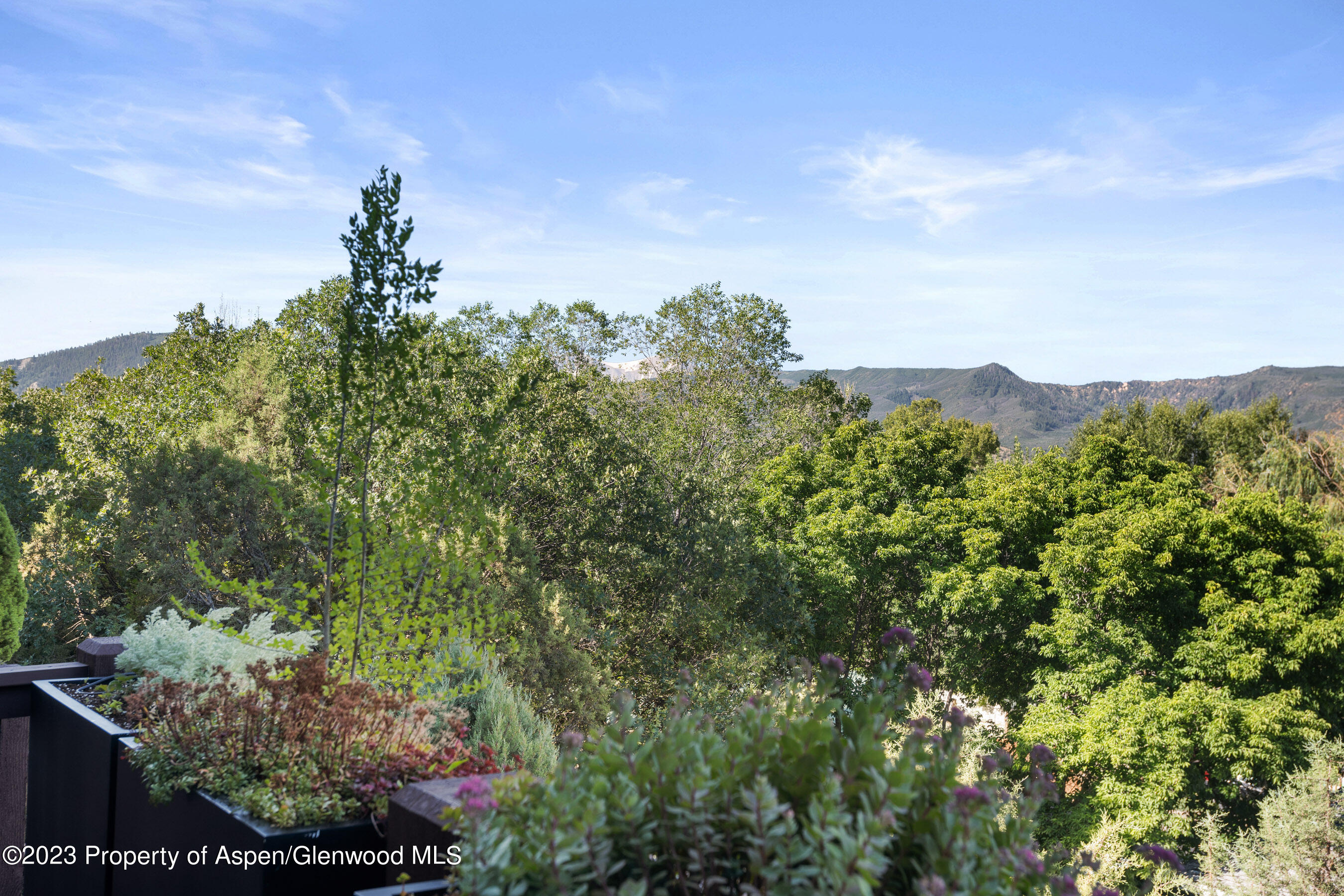 215 Overlook
