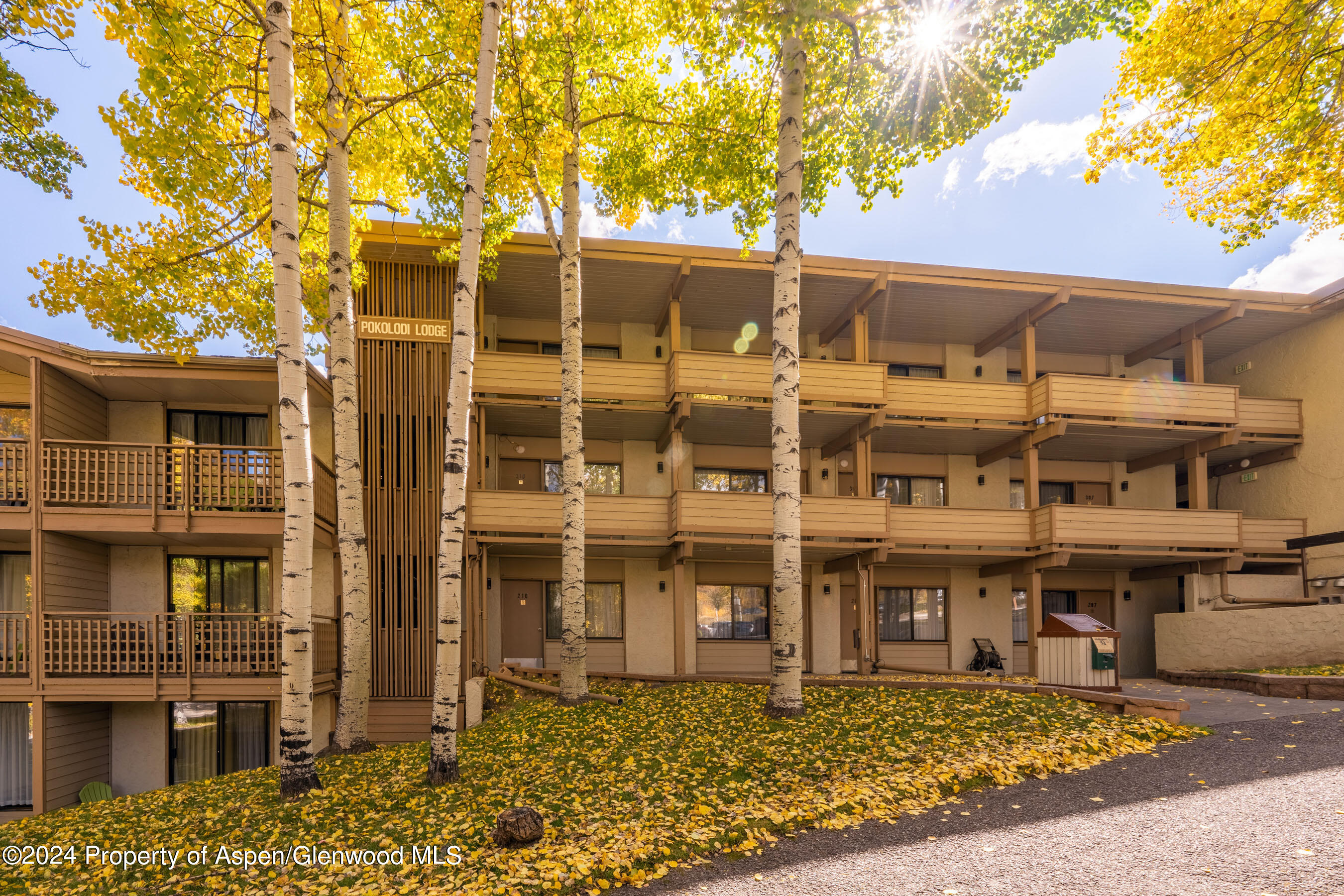 25 Daly Lane, 308