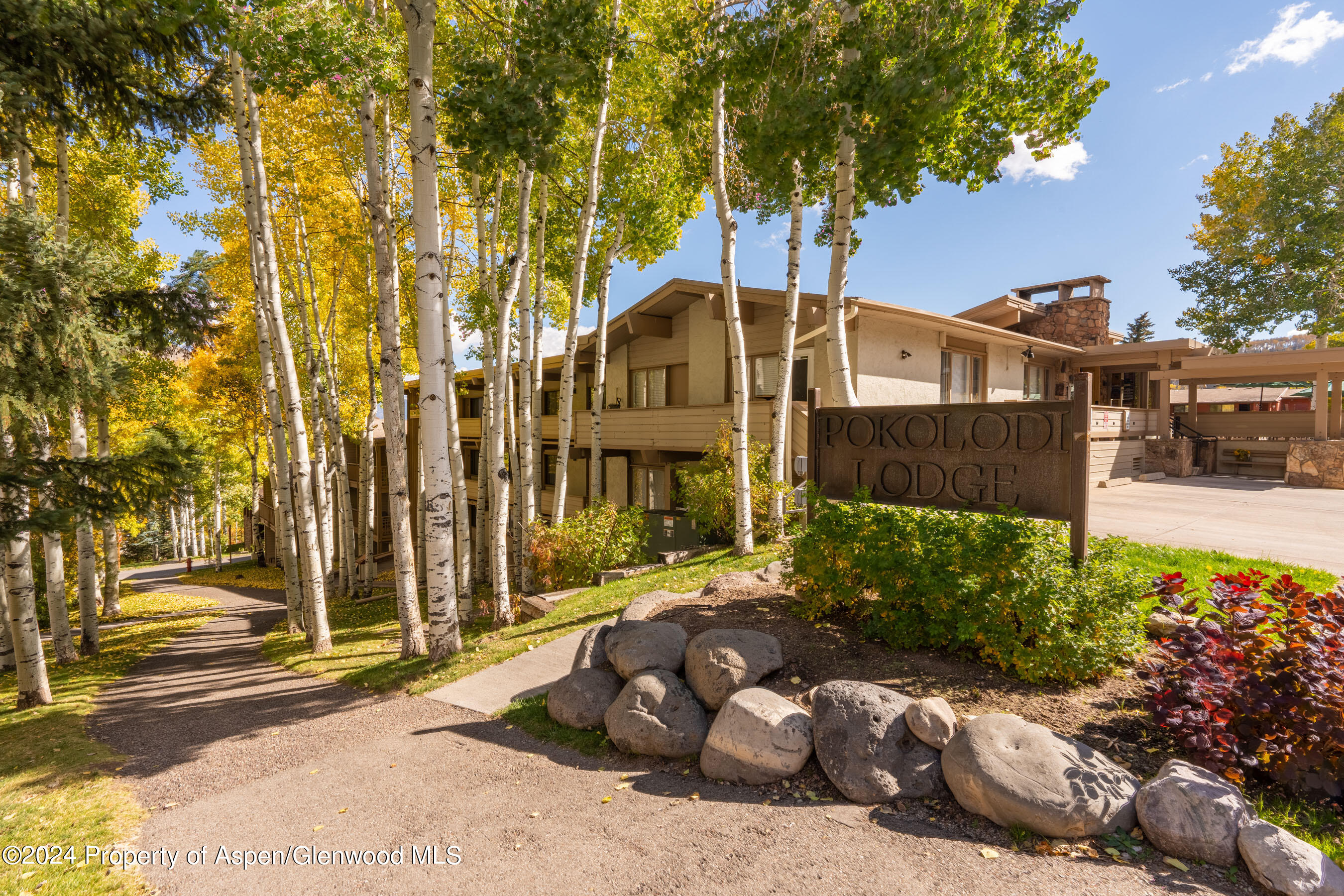 25 Daly Lane, 308