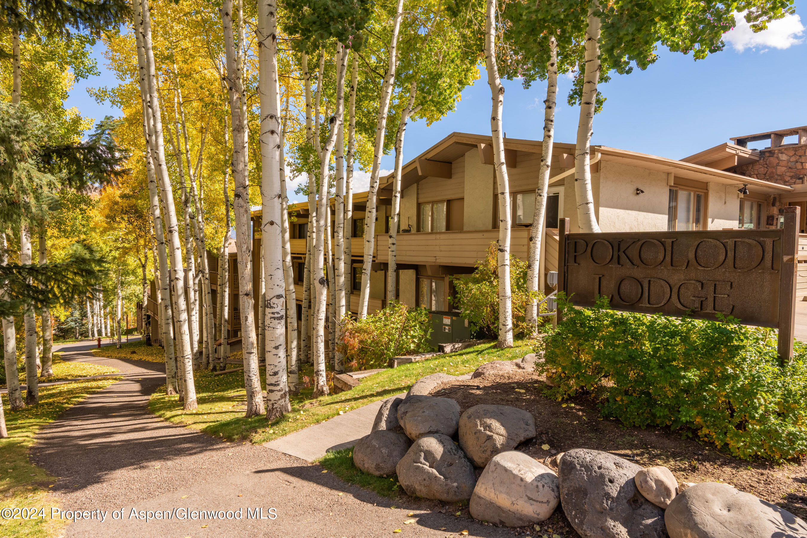 25 Daly Lane, 308