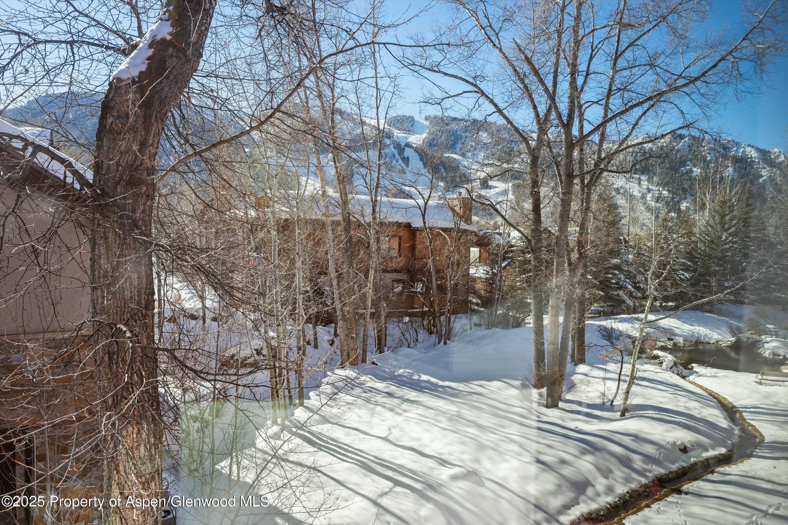 1047 Vine Street, Aspen