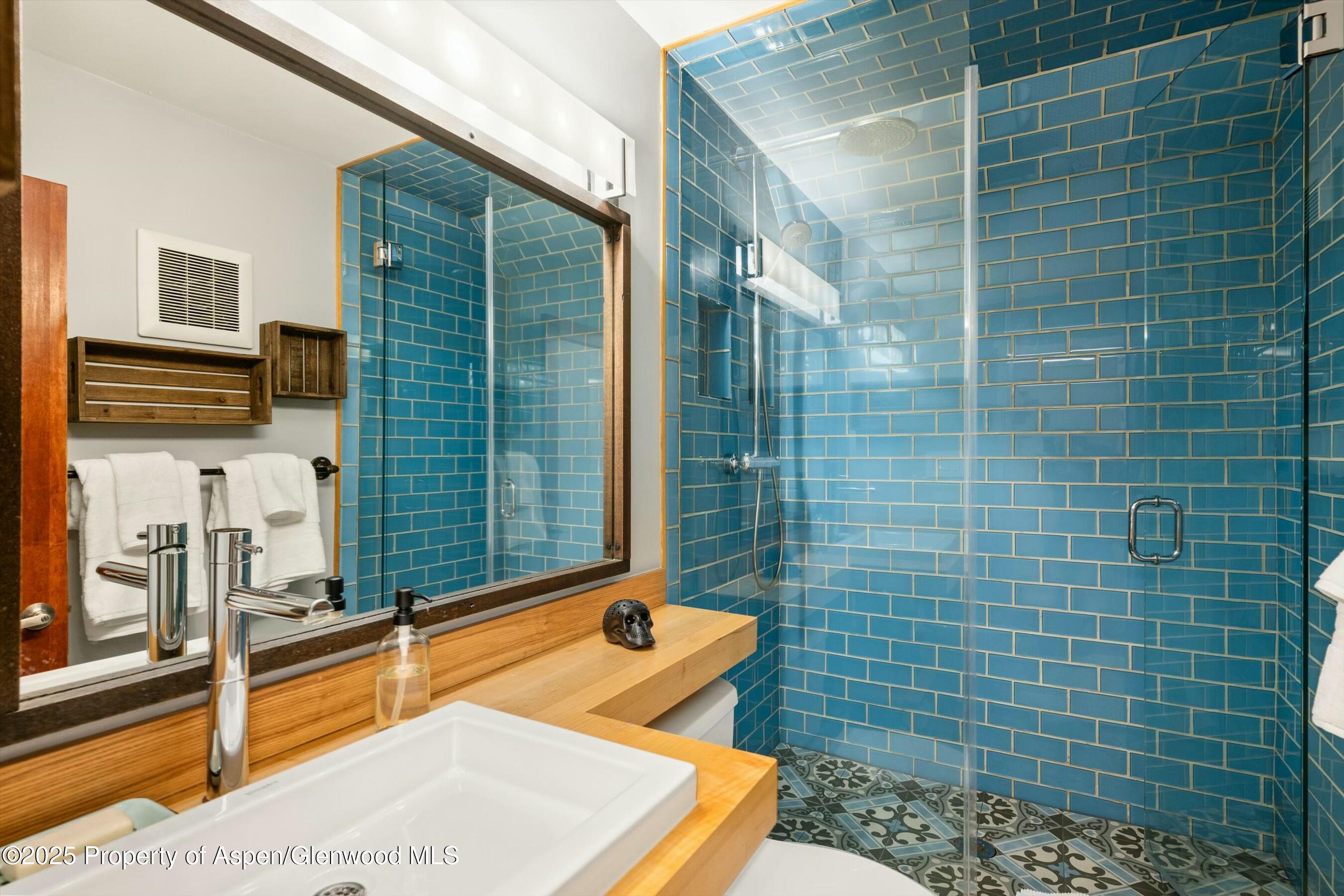 1047 Vine Street, Aspen