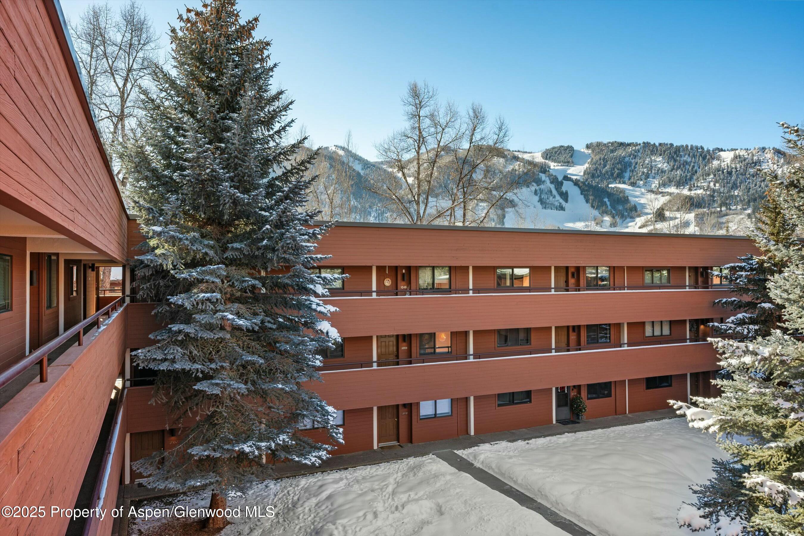 1047 Vine Street, Aspen