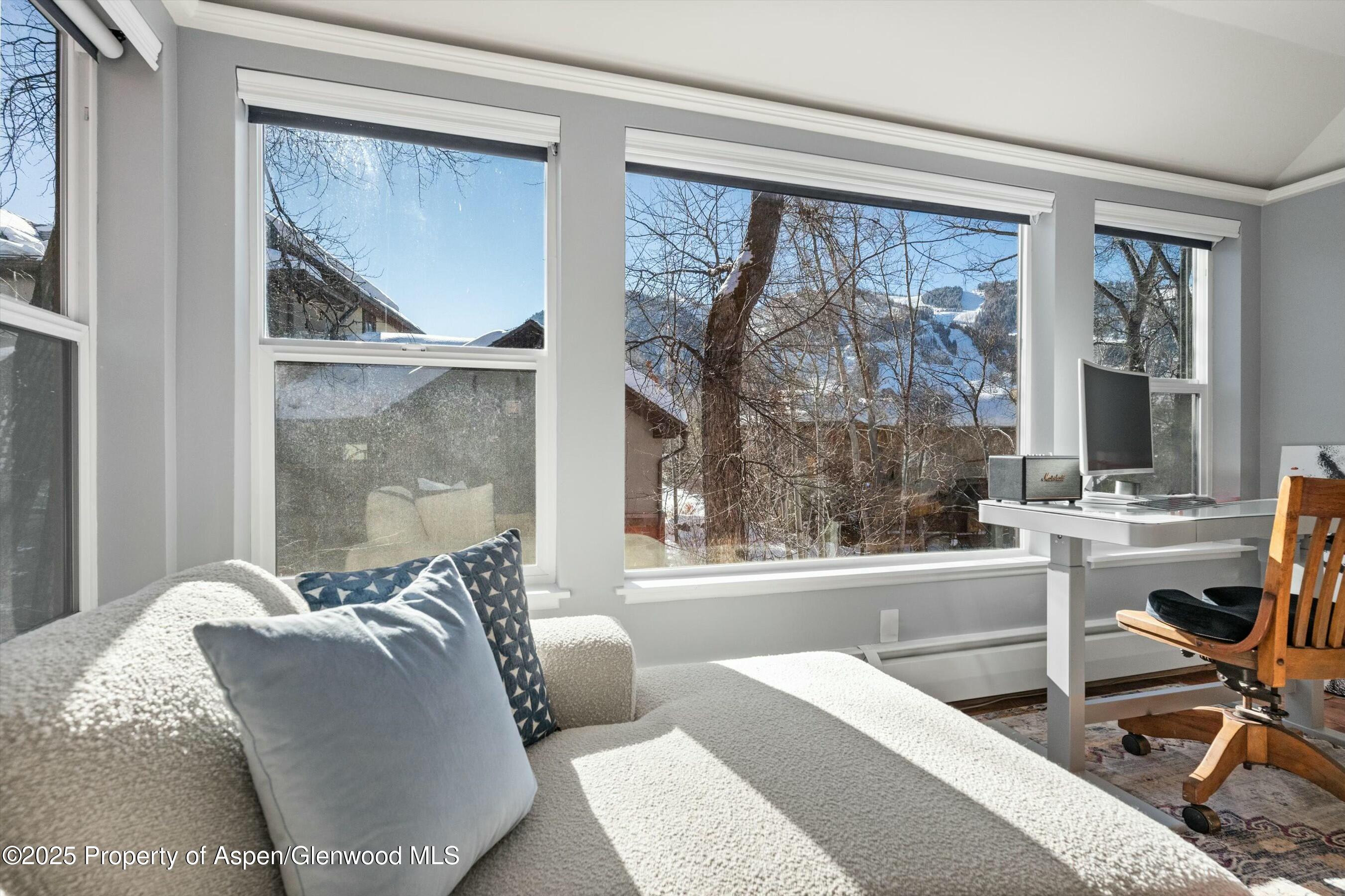 1047 Vine Street, Aspen