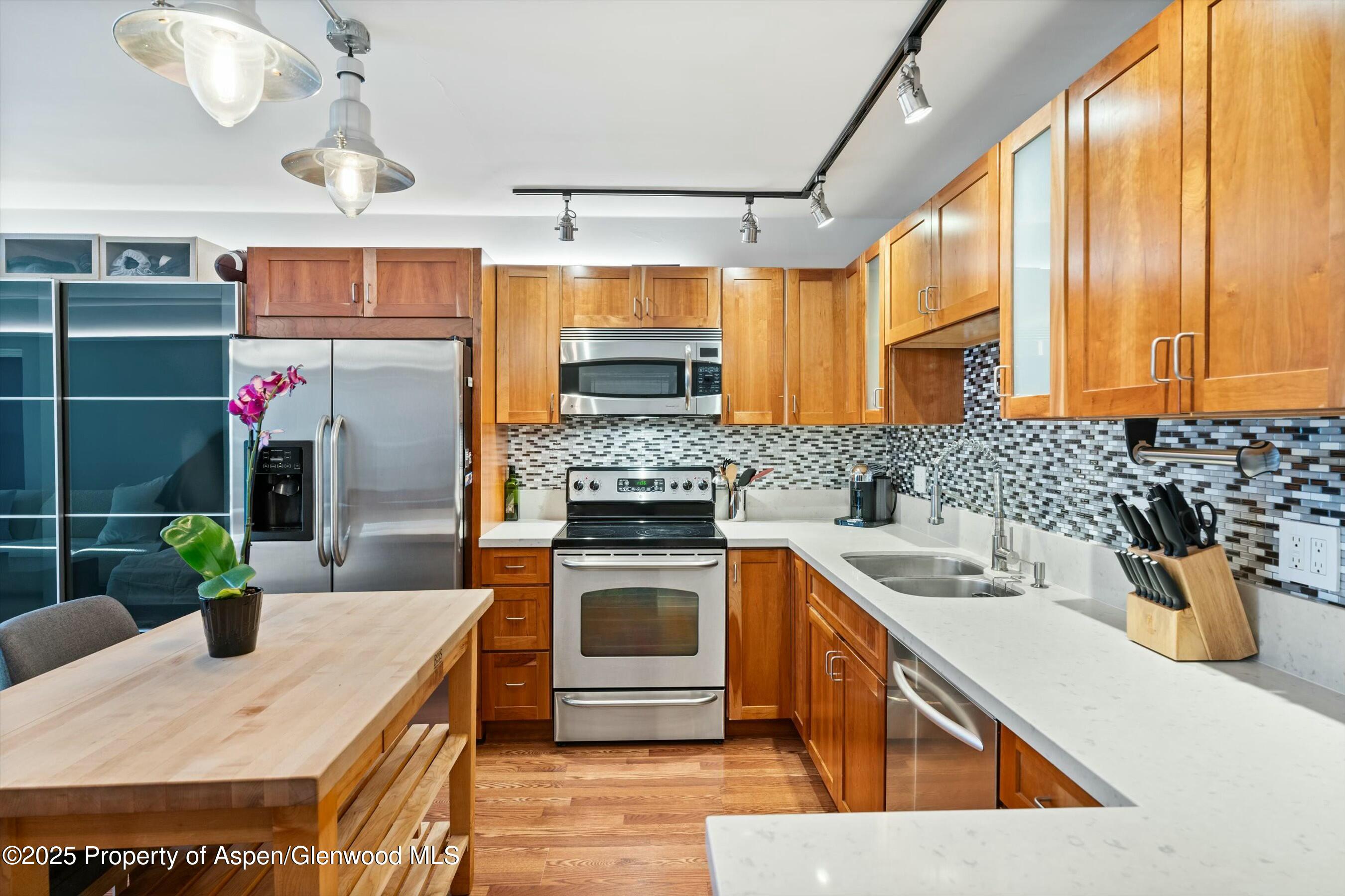 1047 Vine Street, Aspen