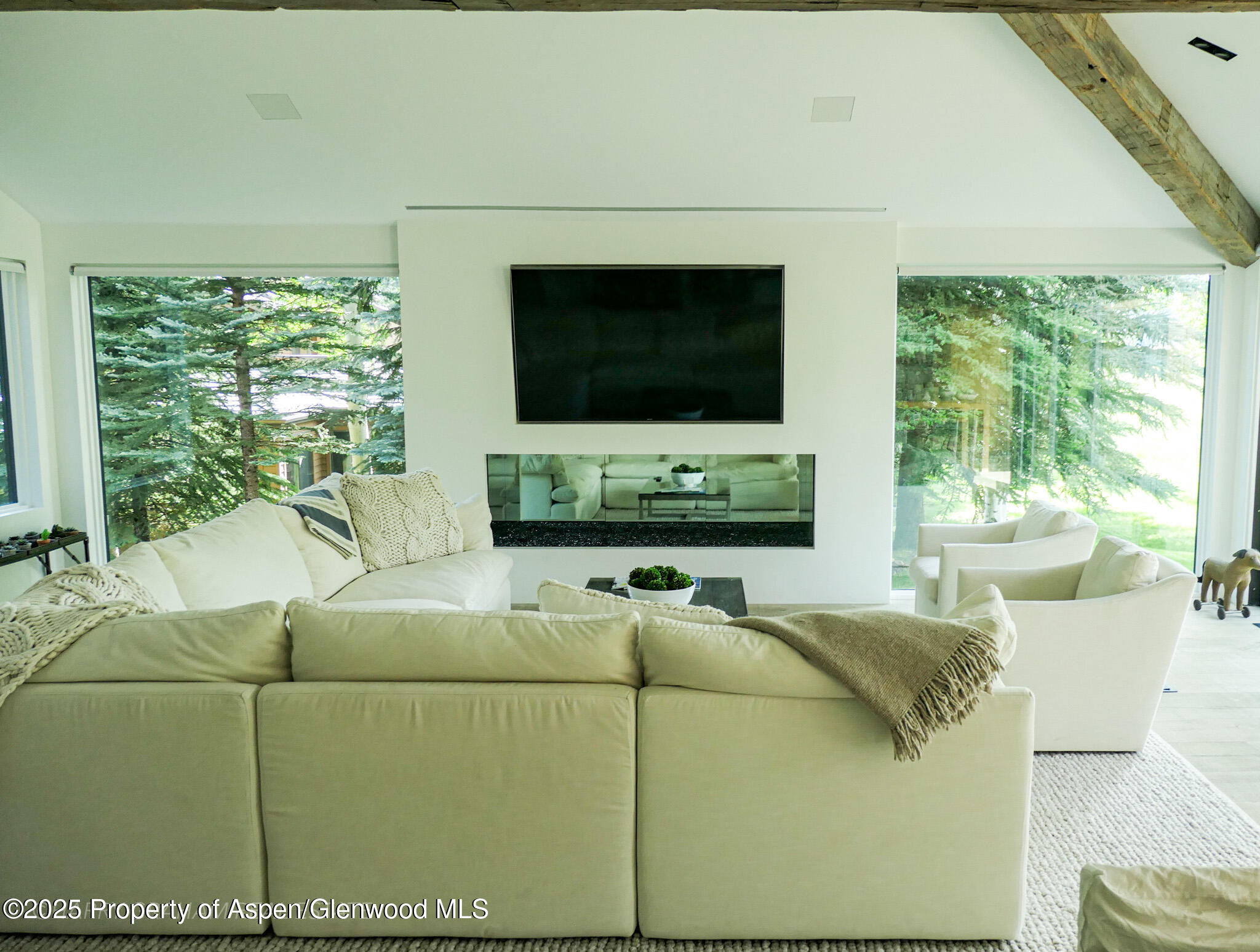 96 Harleston Green, 41, Snowmass Village Unit: 41