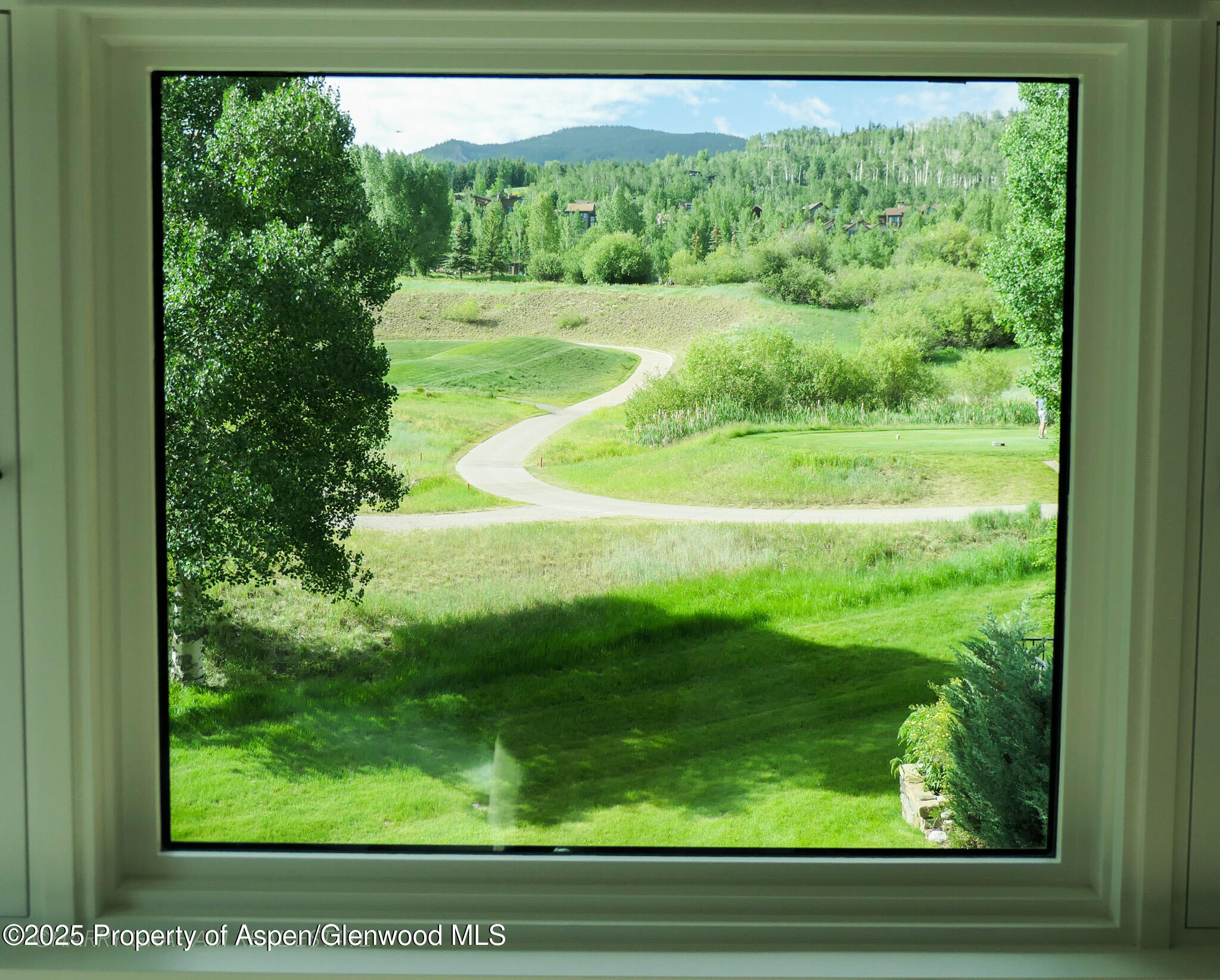 96 Harleston Green, 41, Snowmass Village Unit: 41