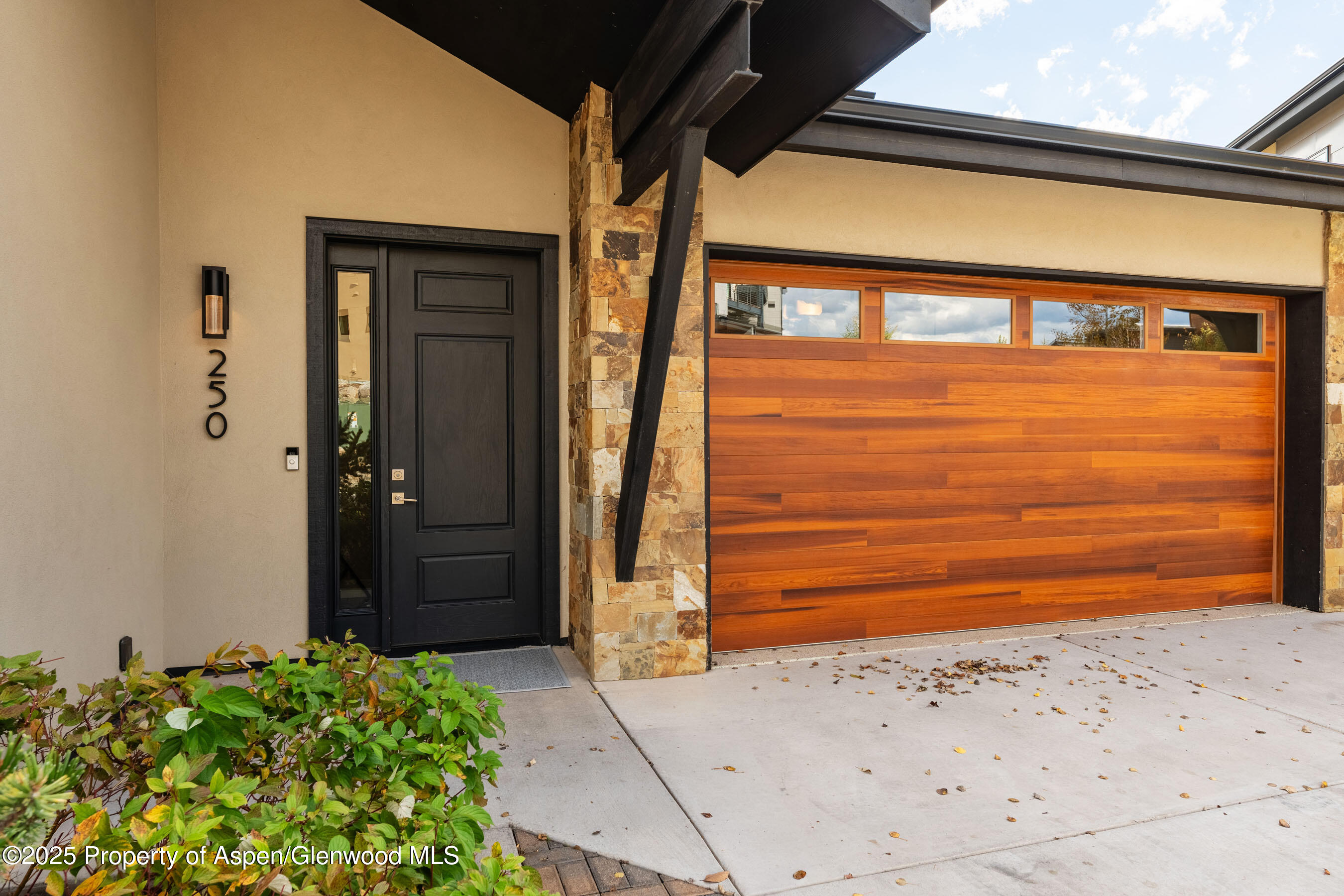 250 Overlook Ridge, 250, Basalt Unit: 250