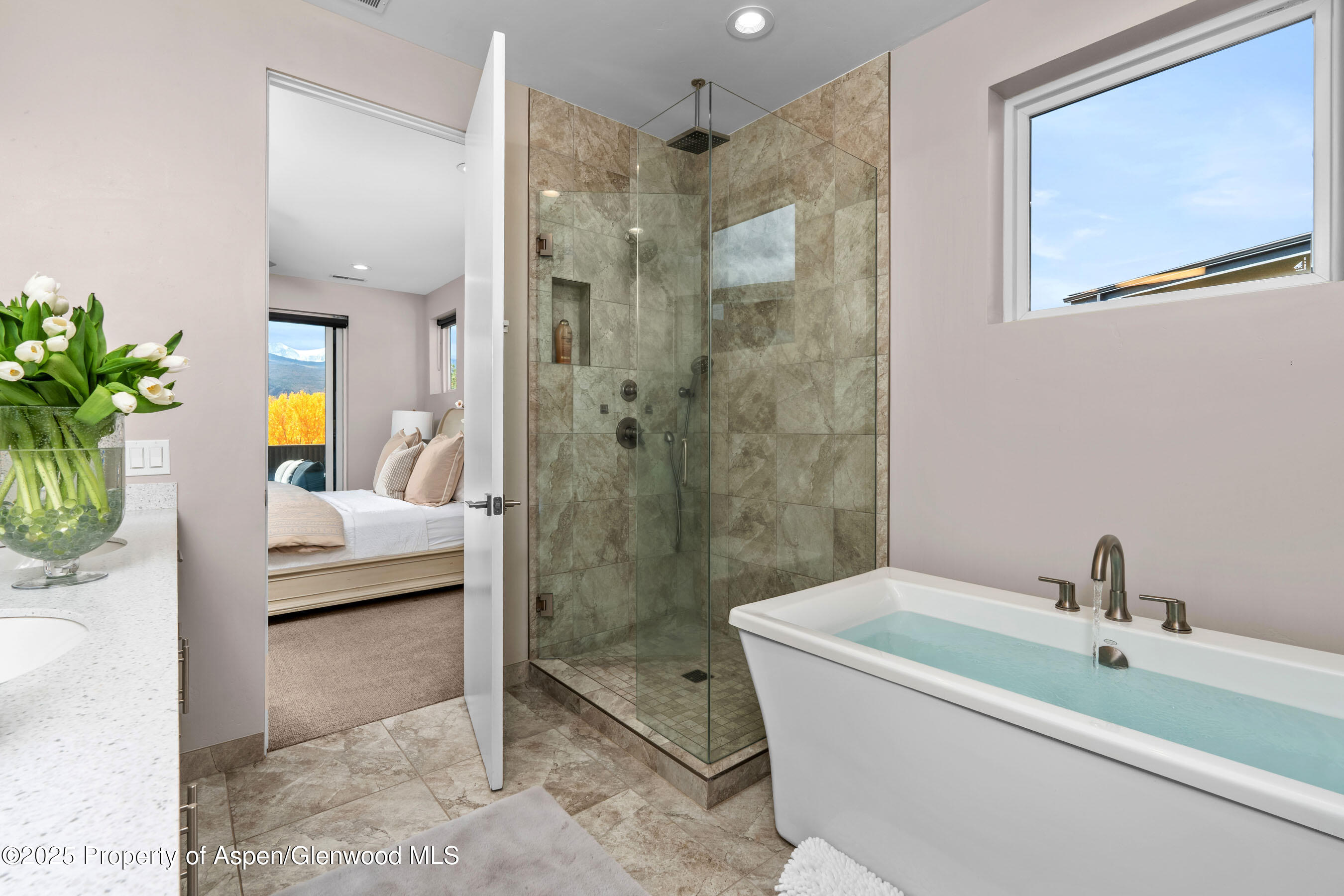 250 Overlook Ridge, 250, Basalt Unit: 250