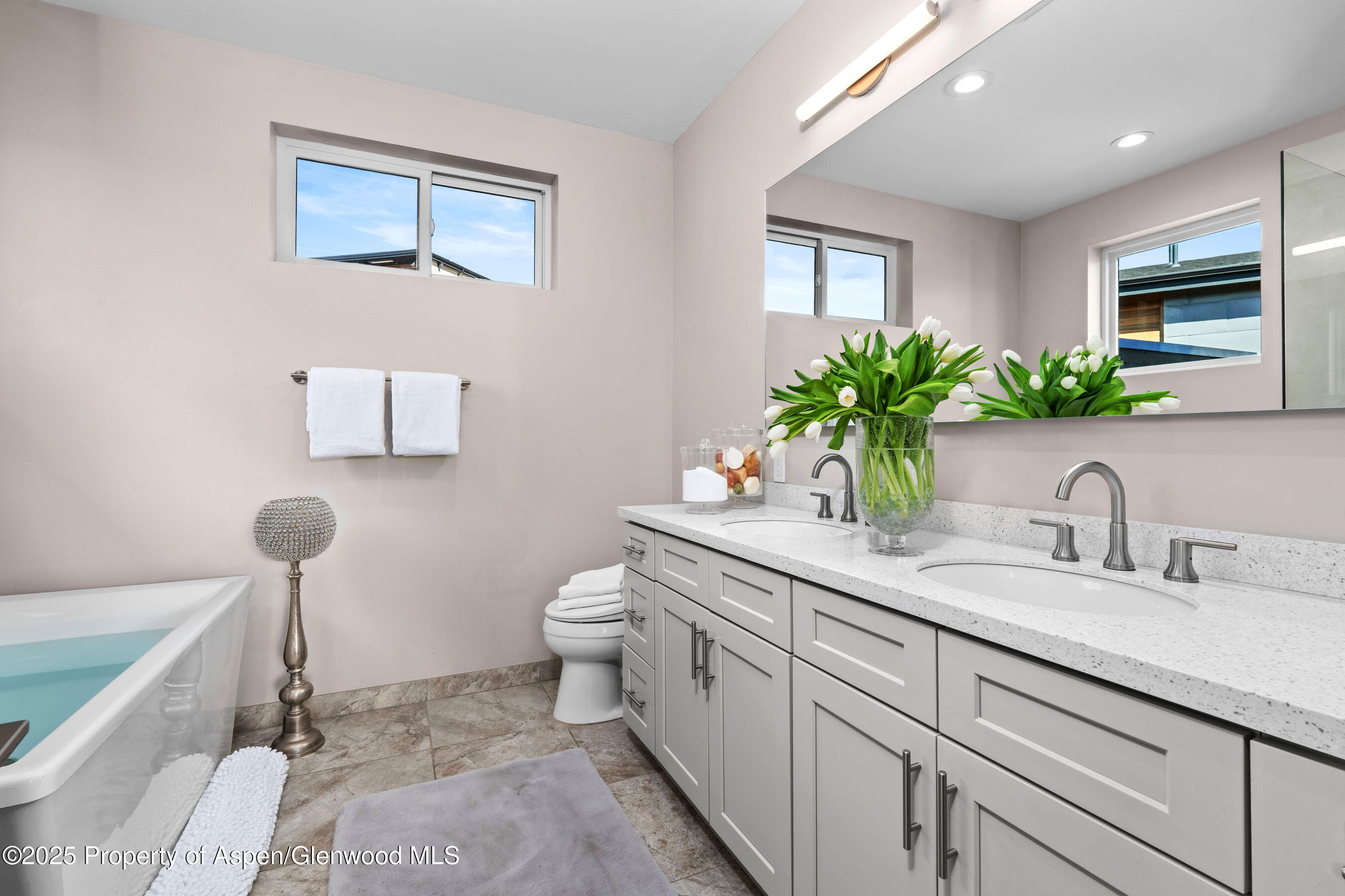 250 Overlook Ridge, 250, Basalt Unit: 250