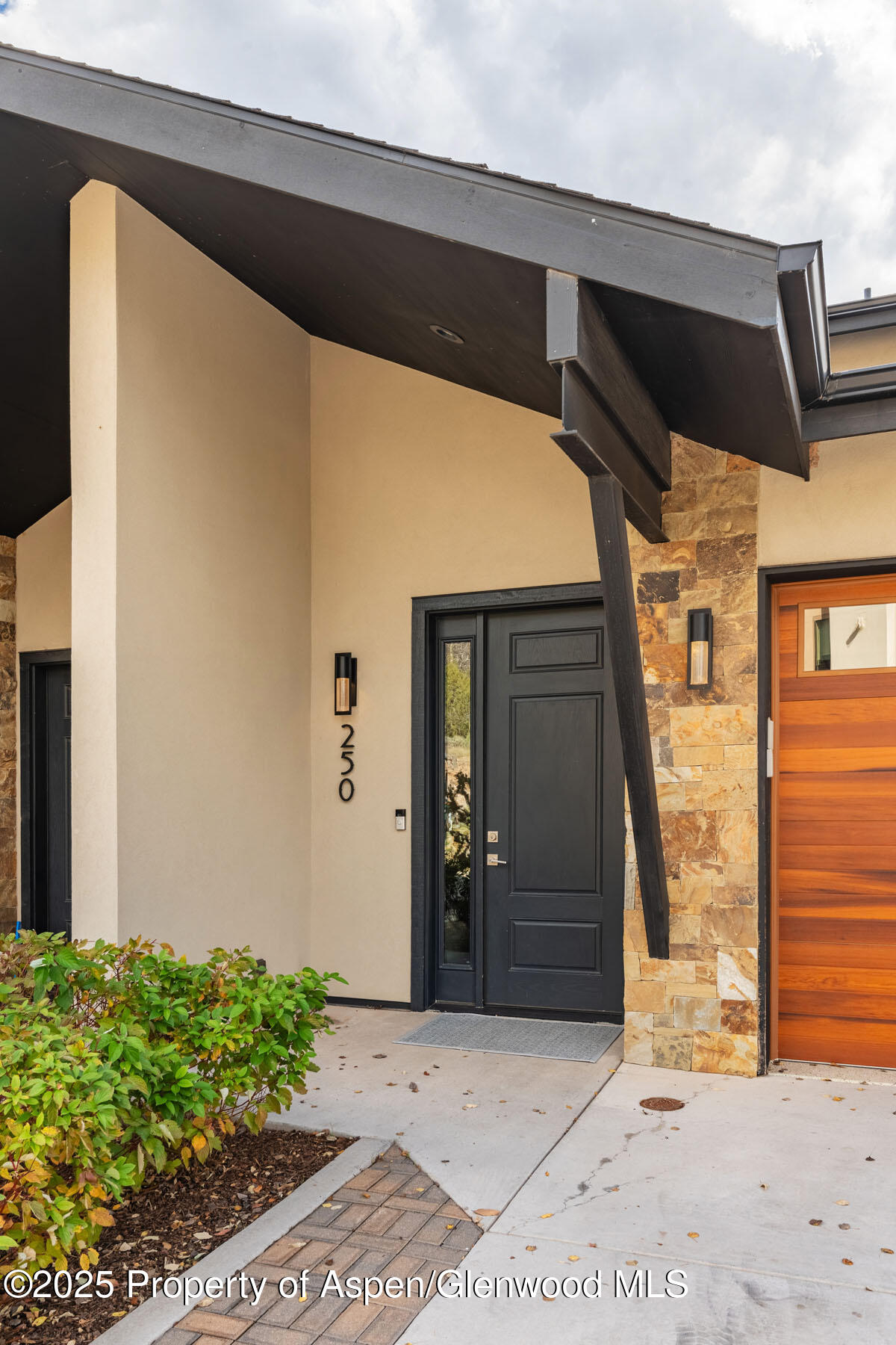 250 Overlook Ridge, 250, Basalt Unit: 250