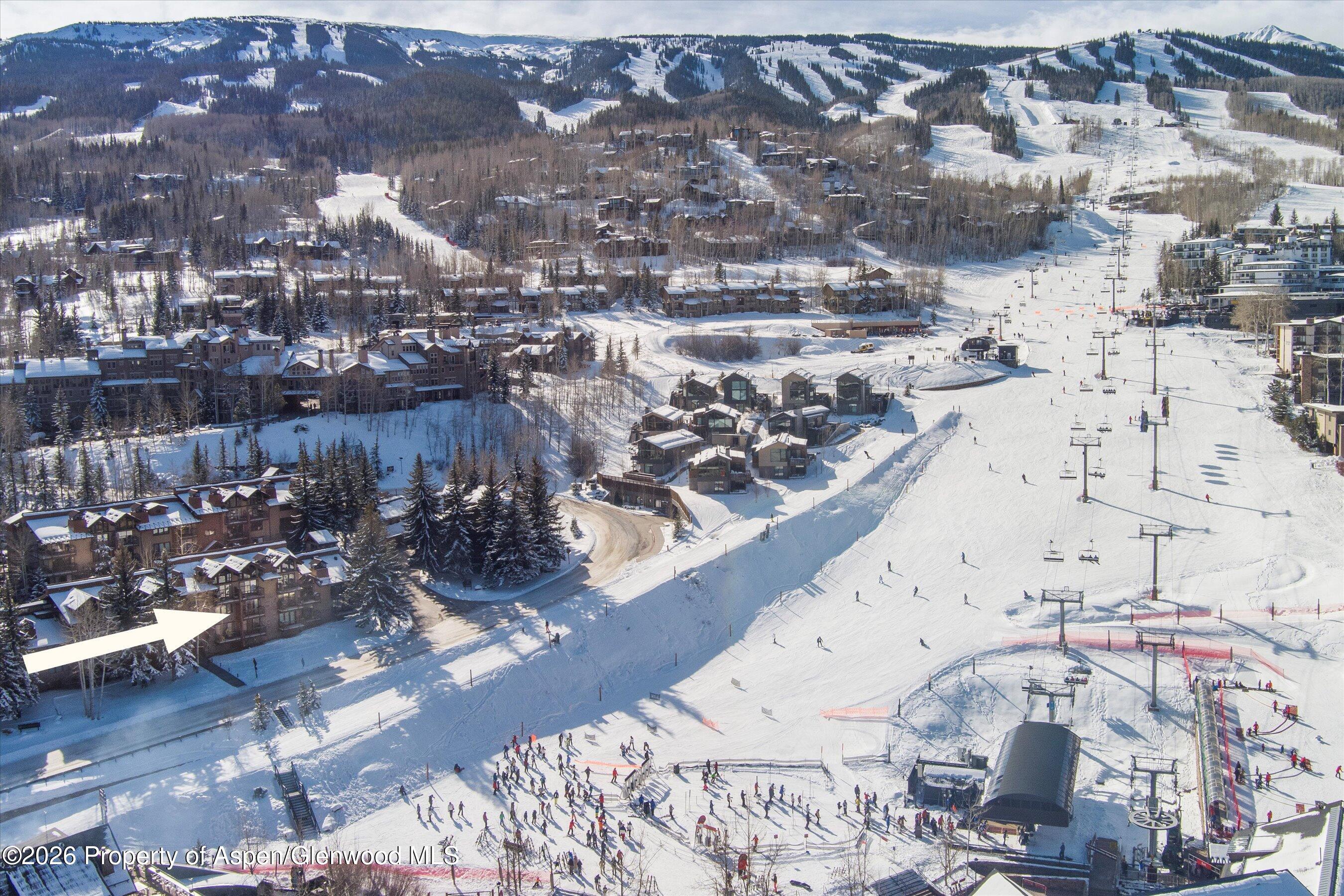 400 Wood Road D-1206